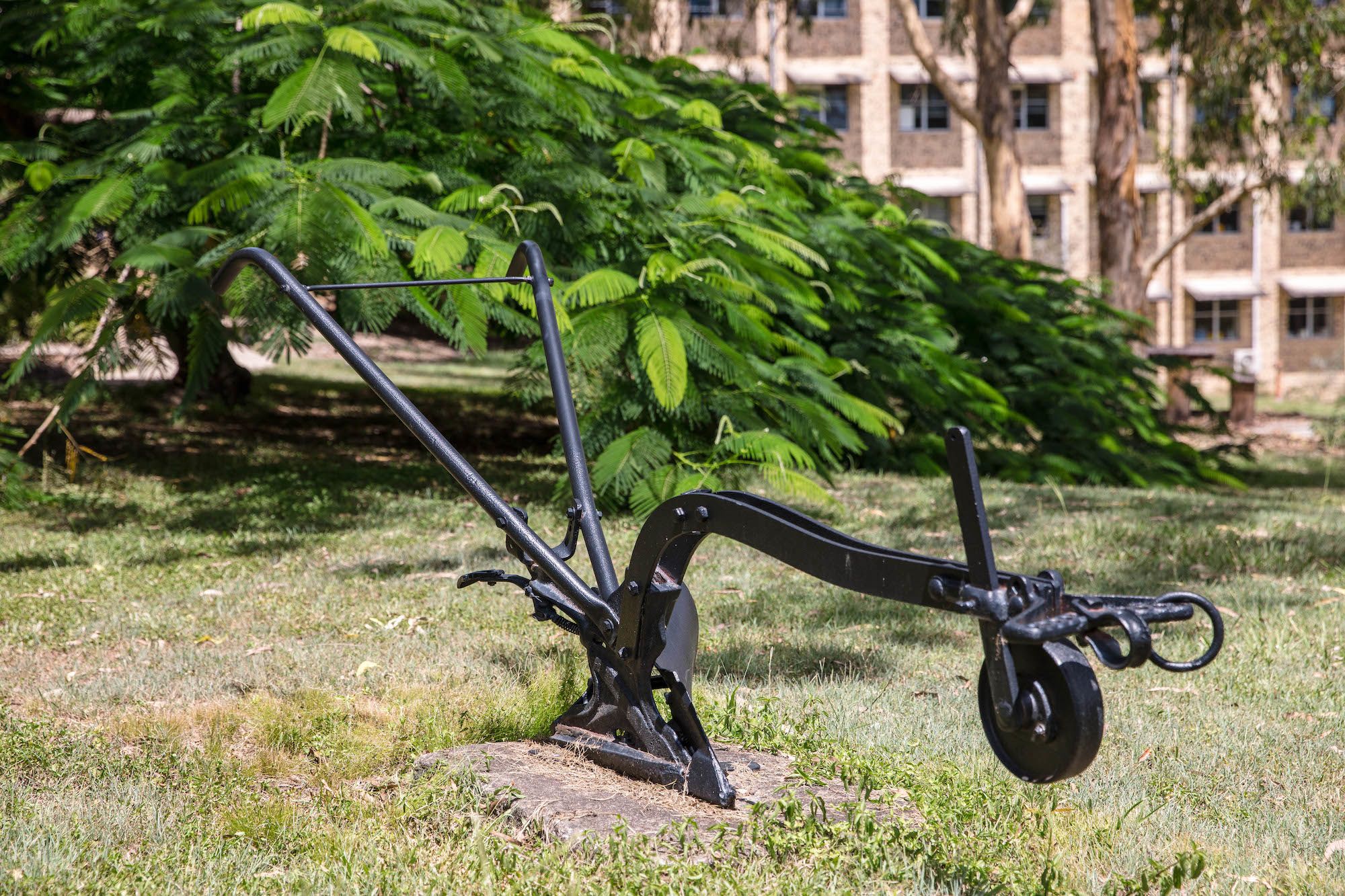 Sculptured plough
