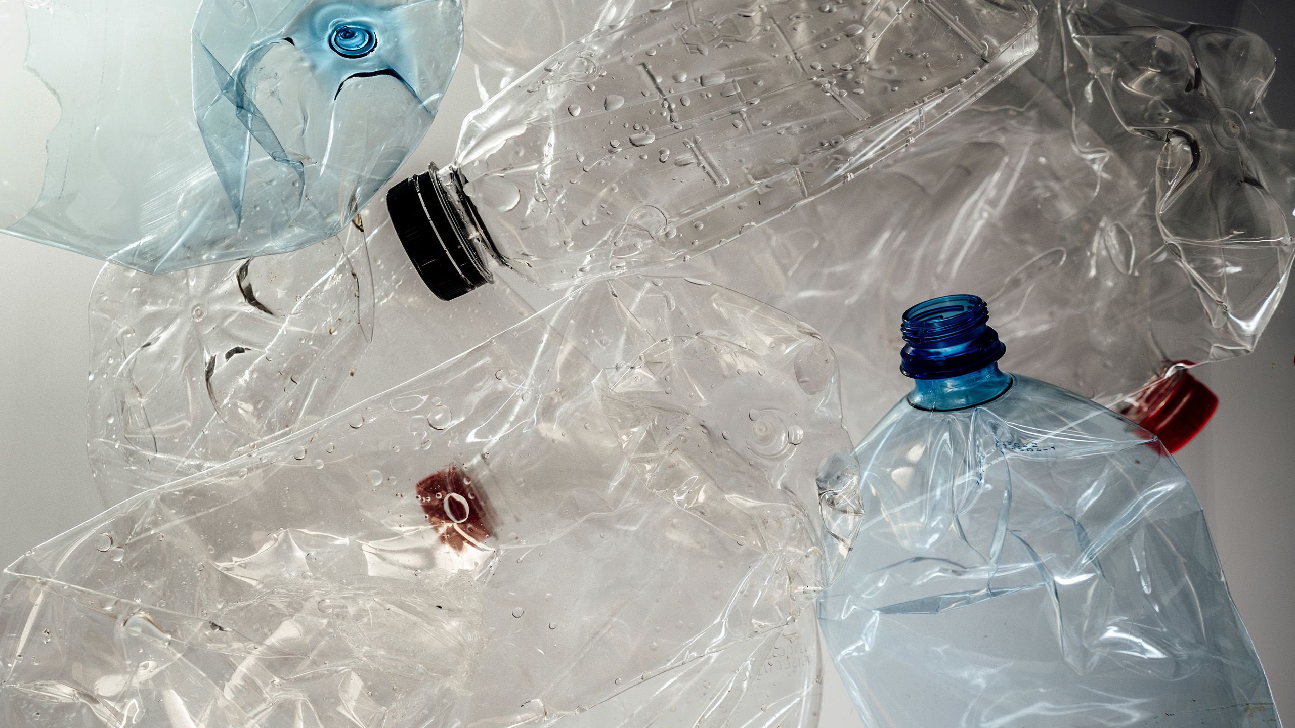 Where there's a will, there's a way