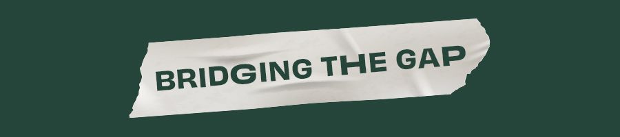 Bridging the gap