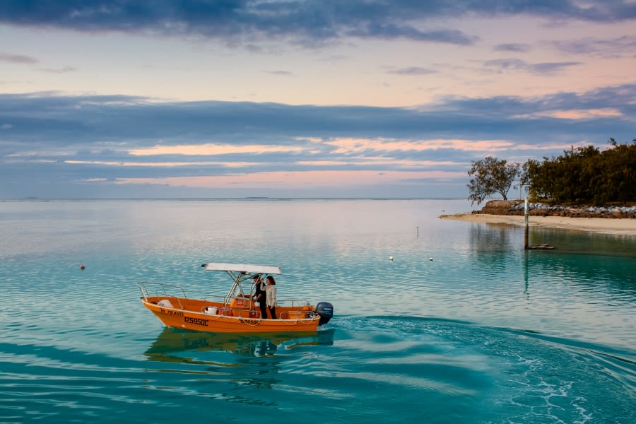 Professor Sandie Degnan and Professor Bernard Degnan on a small boat on vibrant blue water near an island