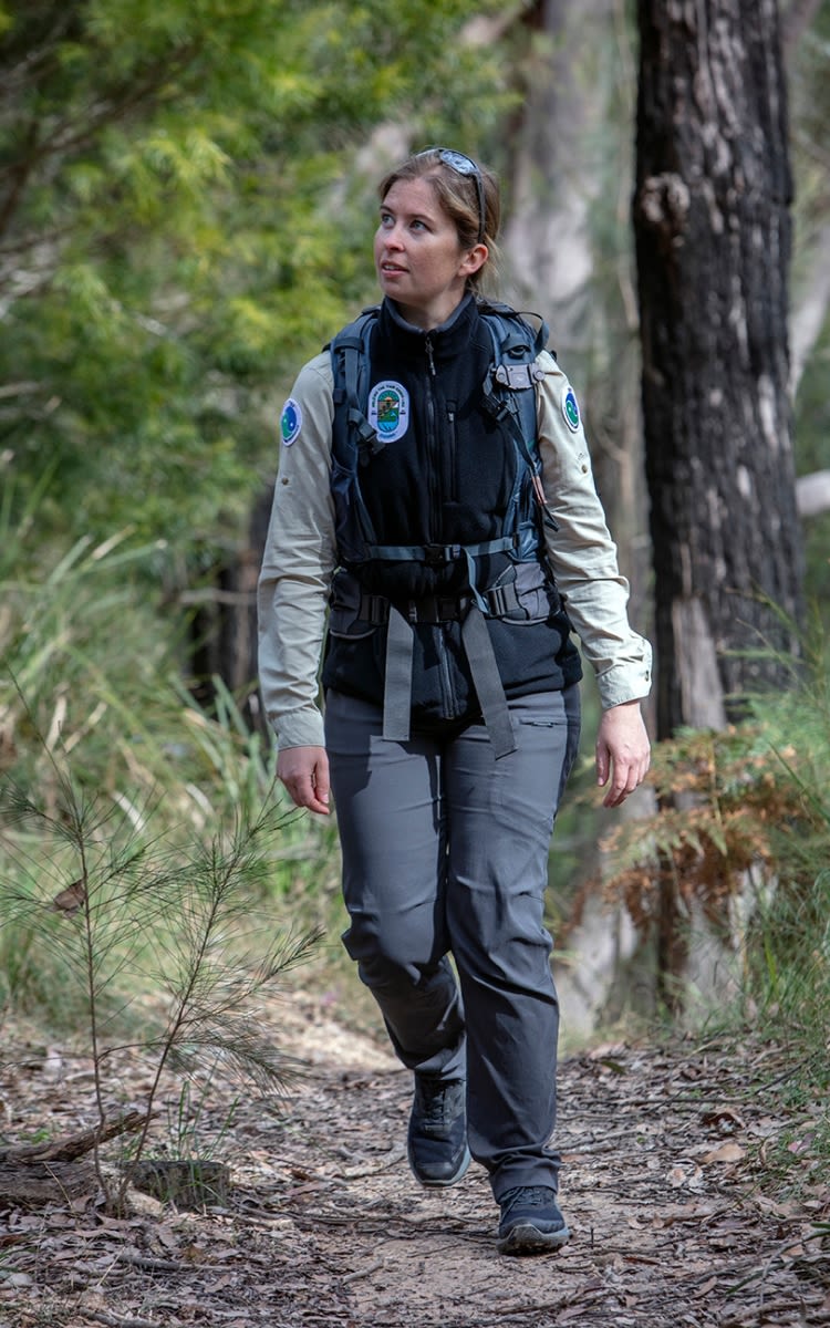 A woman with brown hair wearing a backpack walking on a bush trail