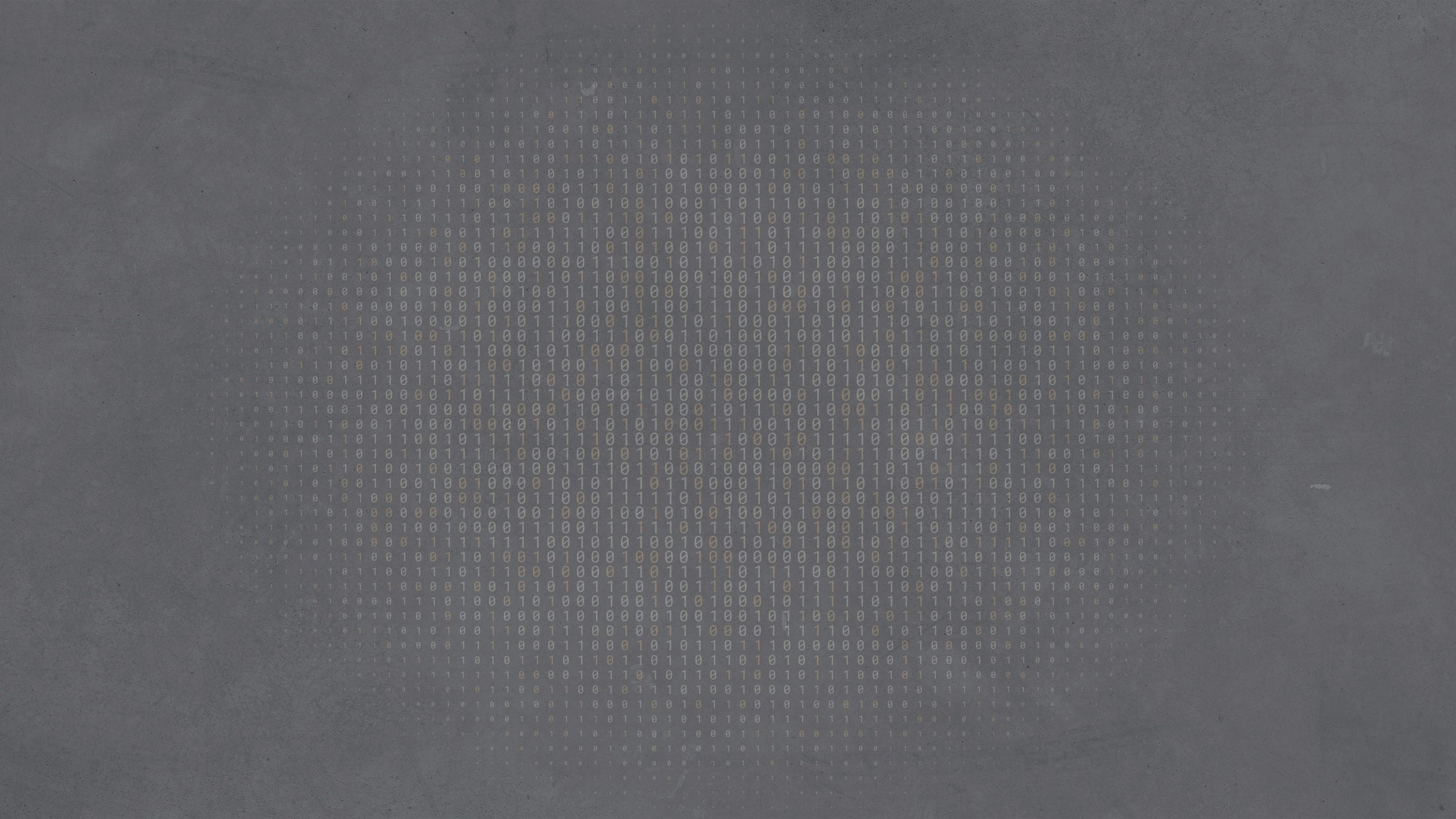 digital data matrix of binary code numbers.