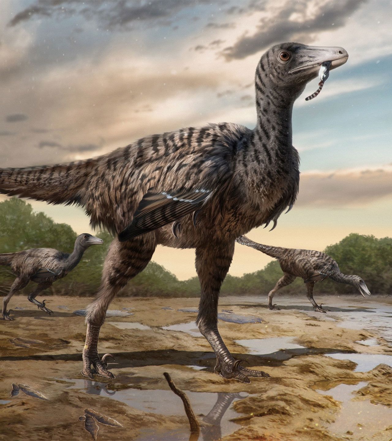 An illustrated reconstruction of a large raptor dinosaur.