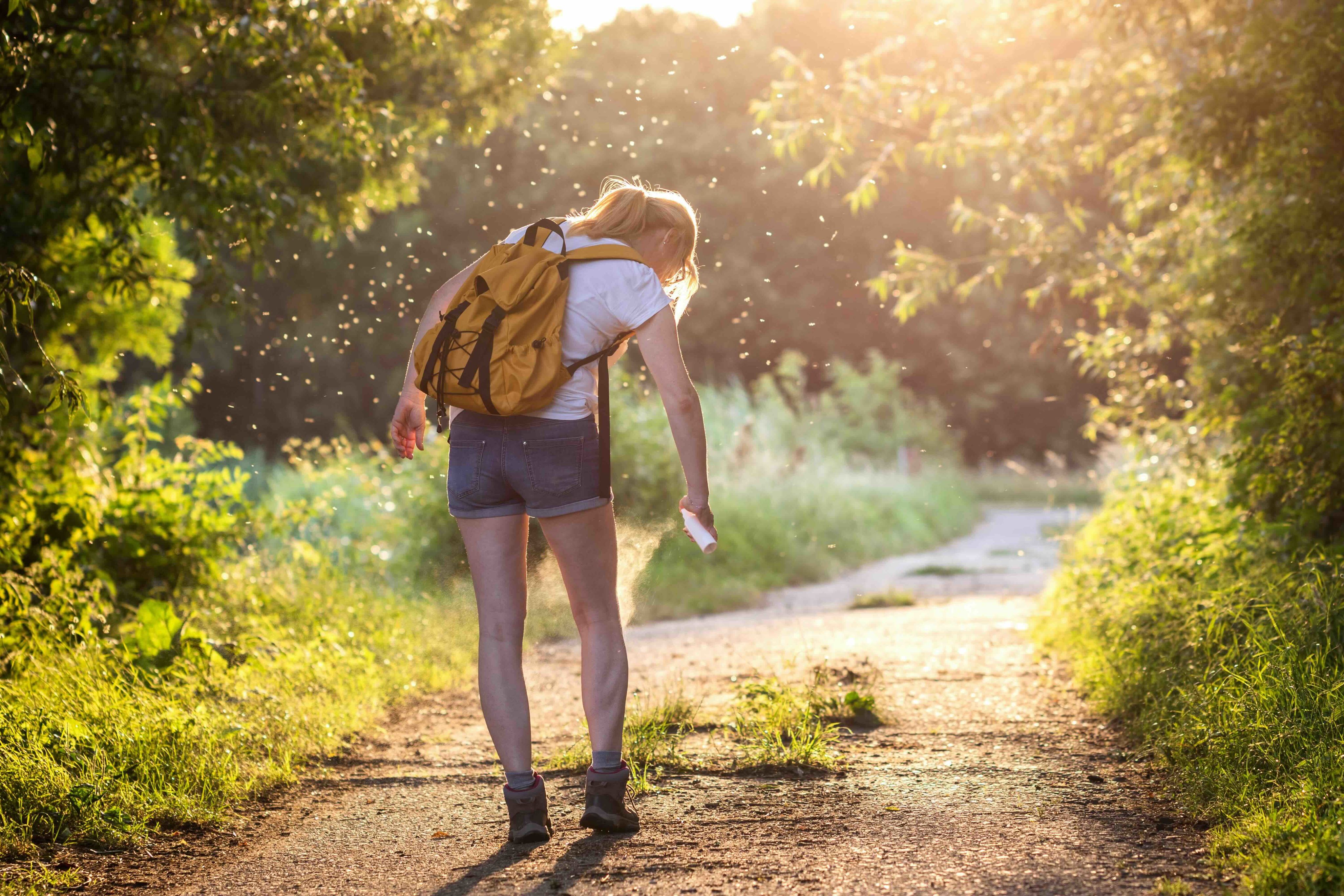 A woman in hiking attire sprays insect repellant on her legs. She is walking down a sun-lit path. Hundreds of tiny mosquitos surround her, visible only by the reflection of the sunlight on their wings.