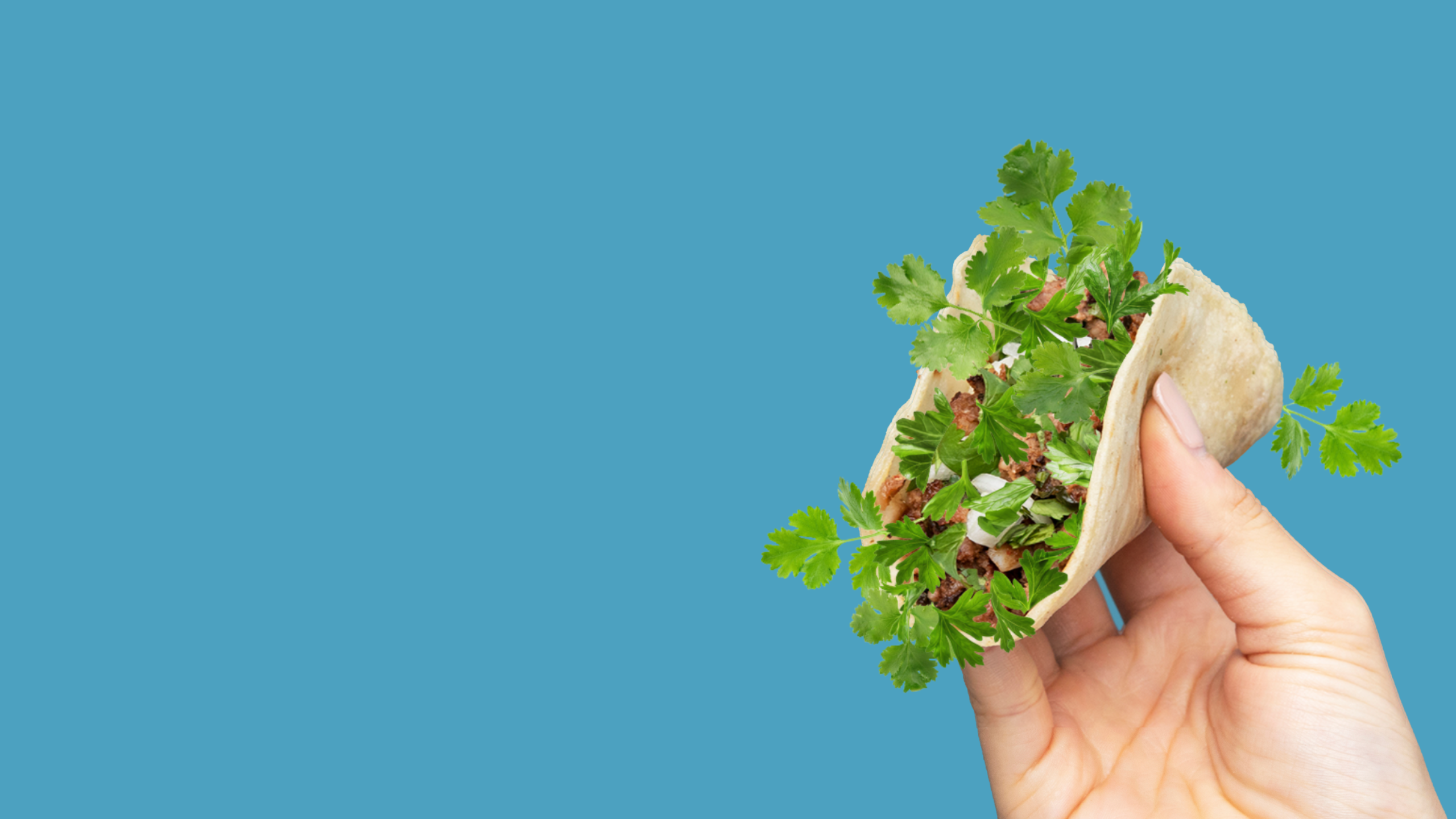 Hand holding a taco overflowing with coriander