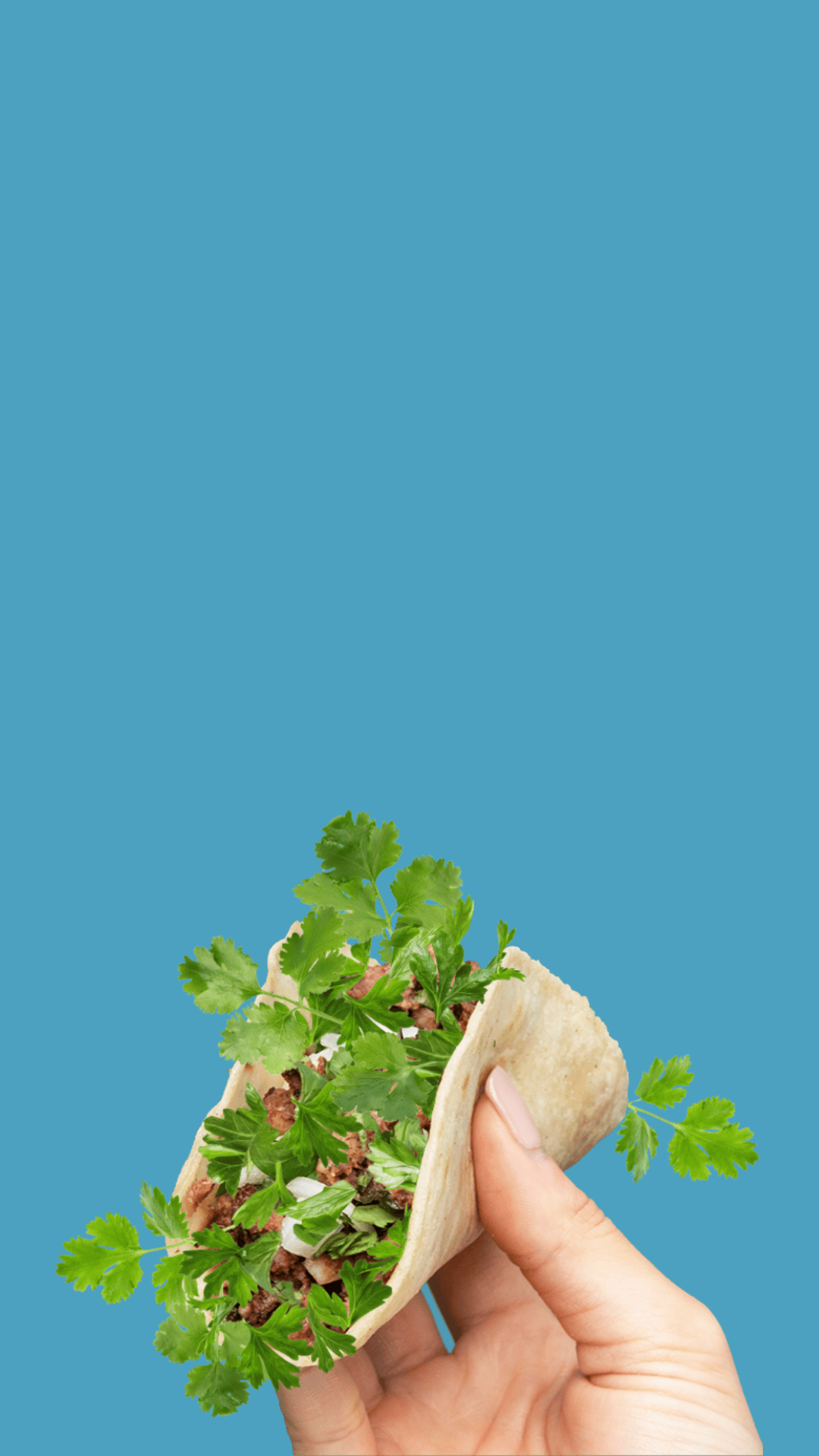 Hand holding a taco overflowing with coriander