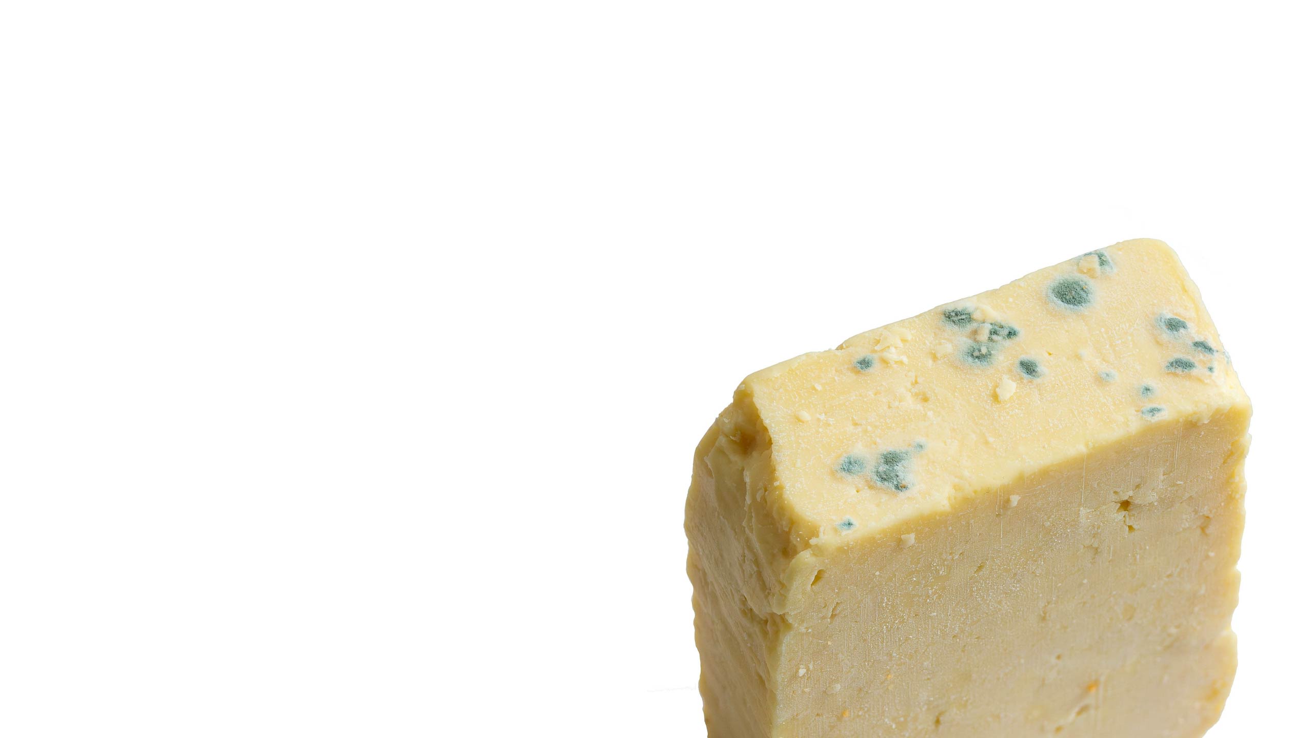 A close up image of cheese with mould growing on it
