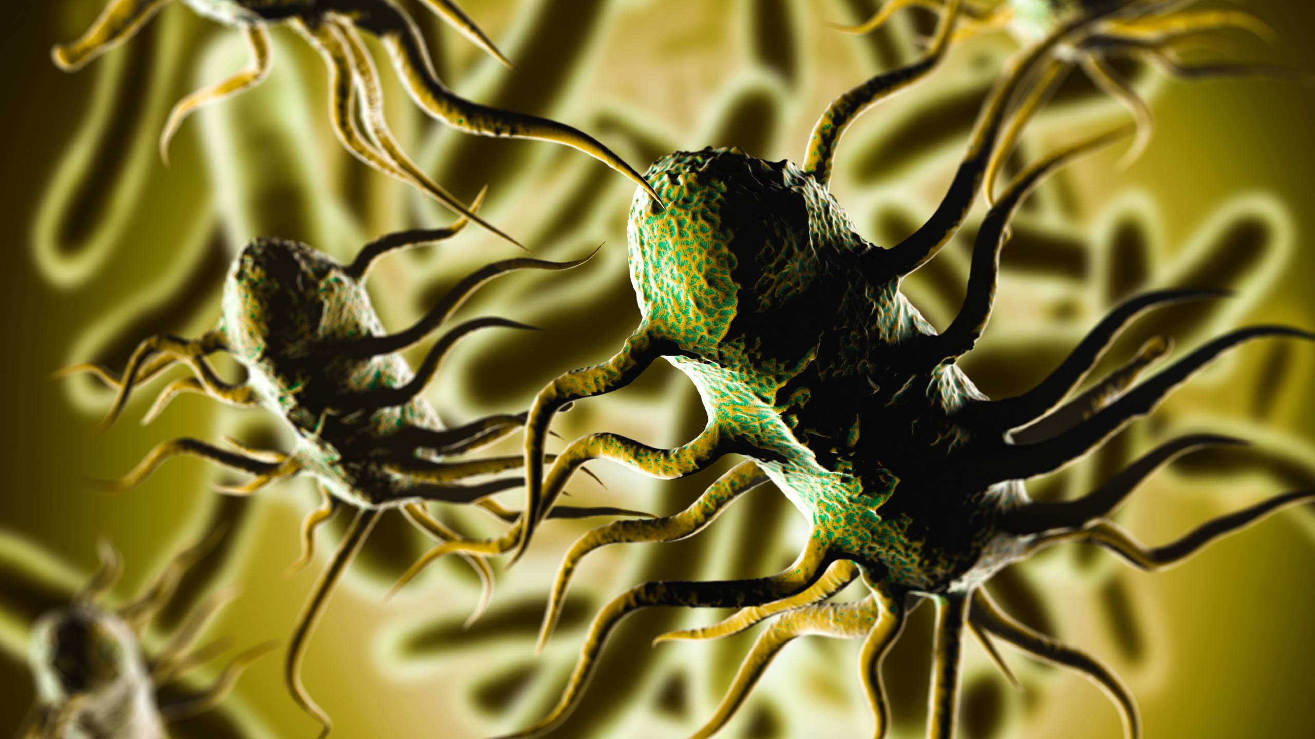 A microscopic close up of bacteria