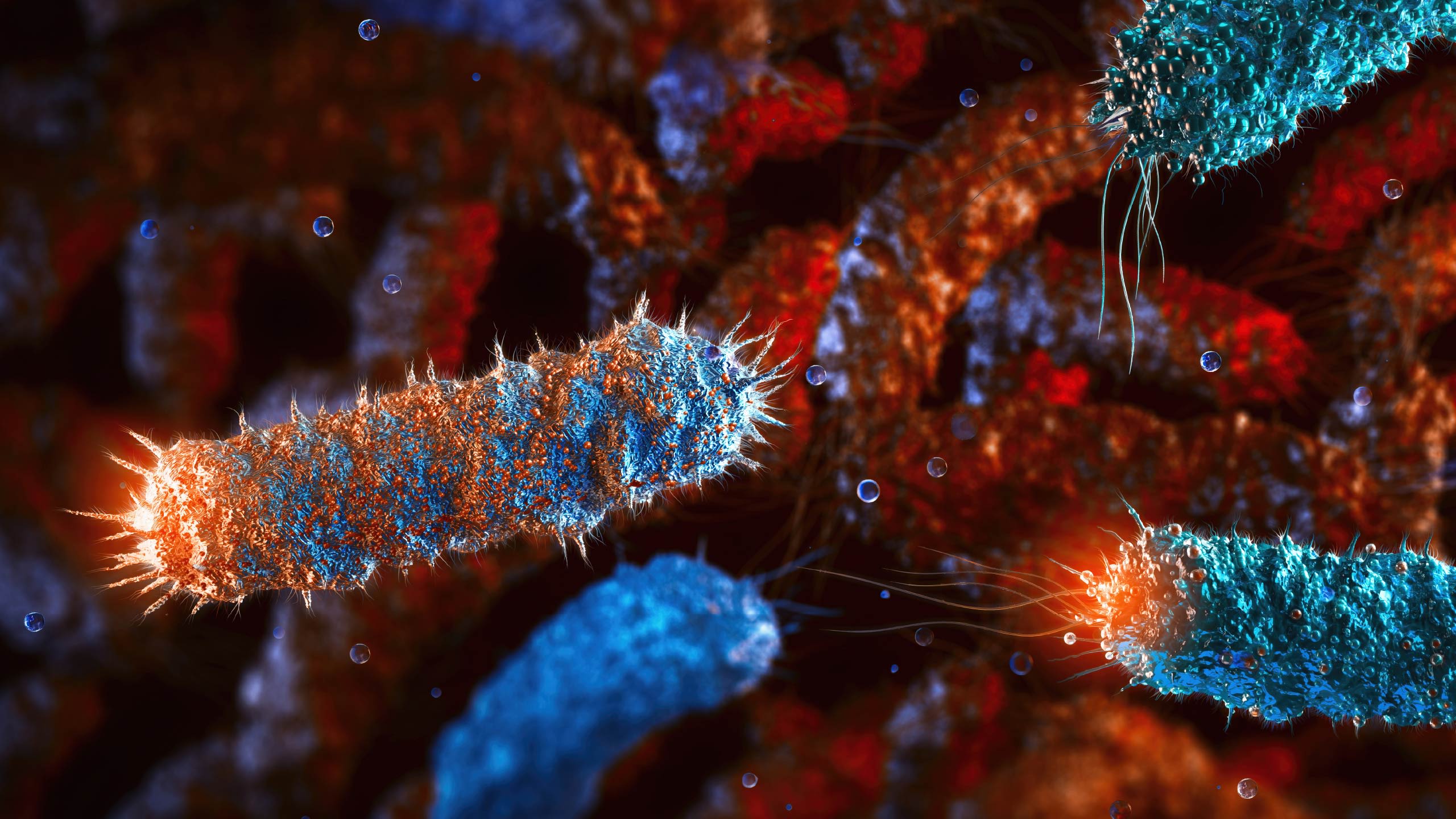 A microscopic close up of bacteria