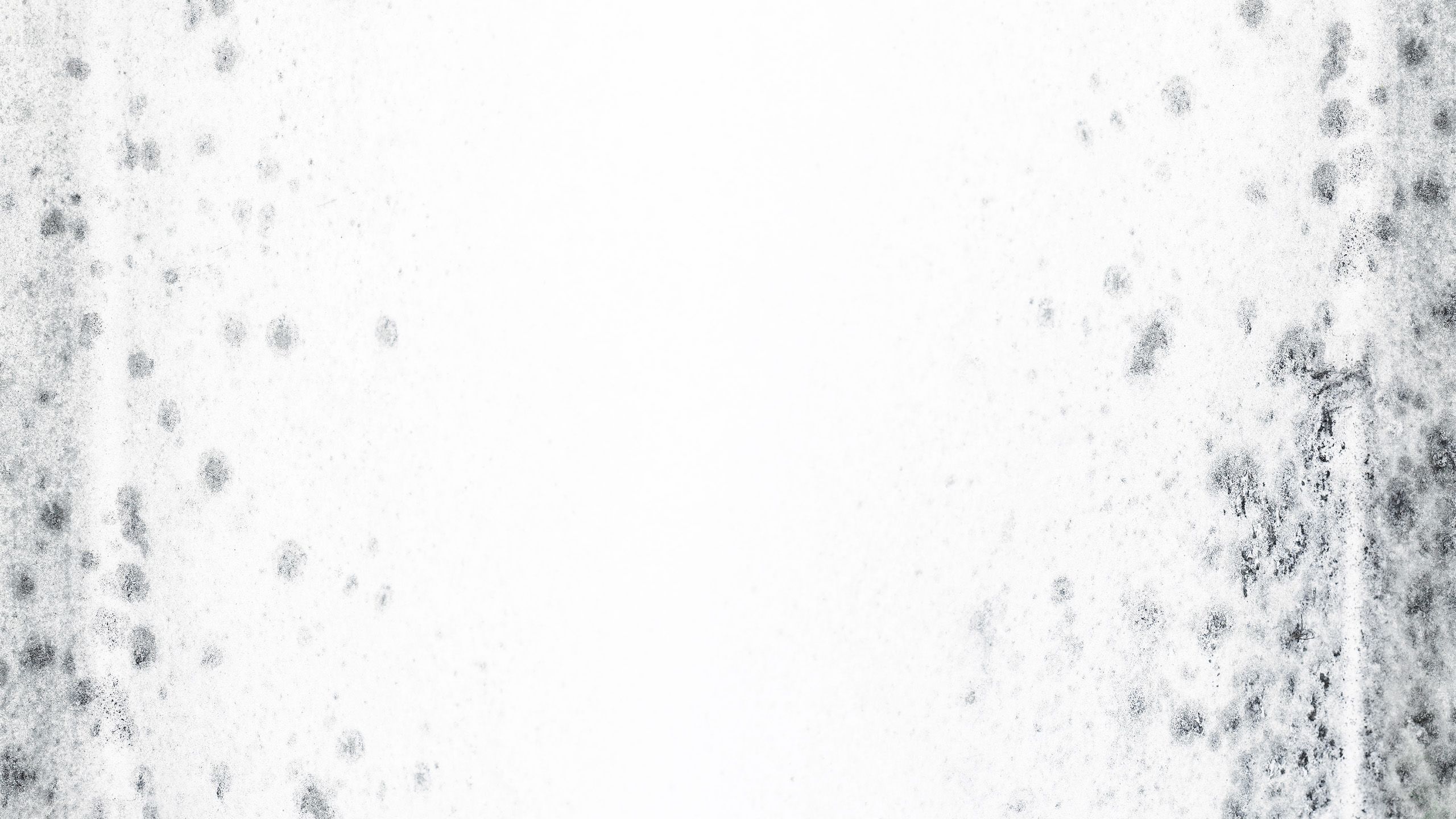 Mould on a white wall