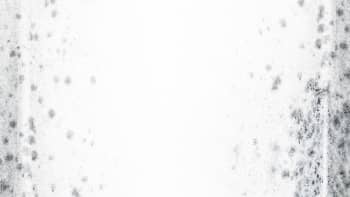 Mould on a white wall