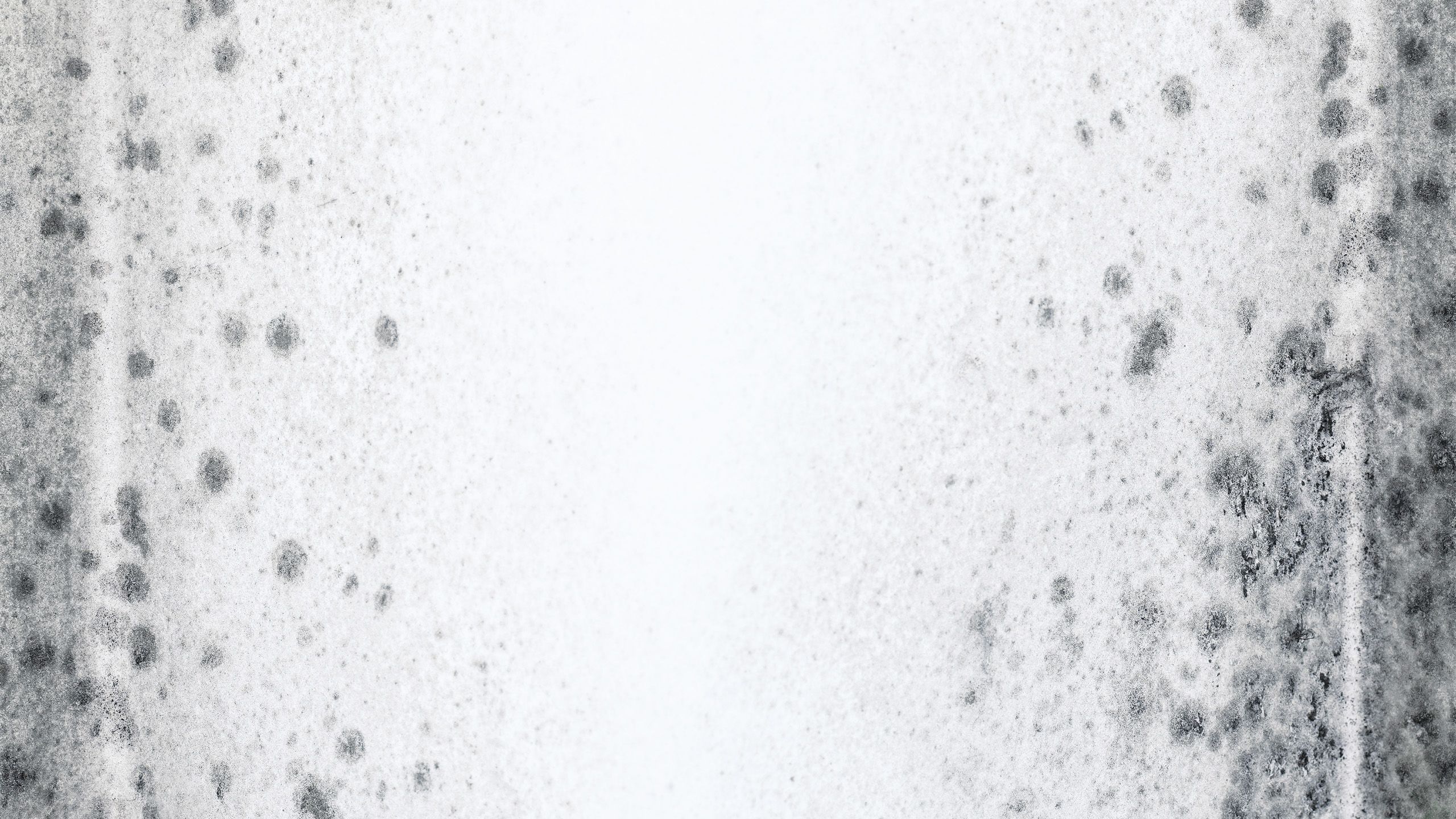 Mould on a white wall