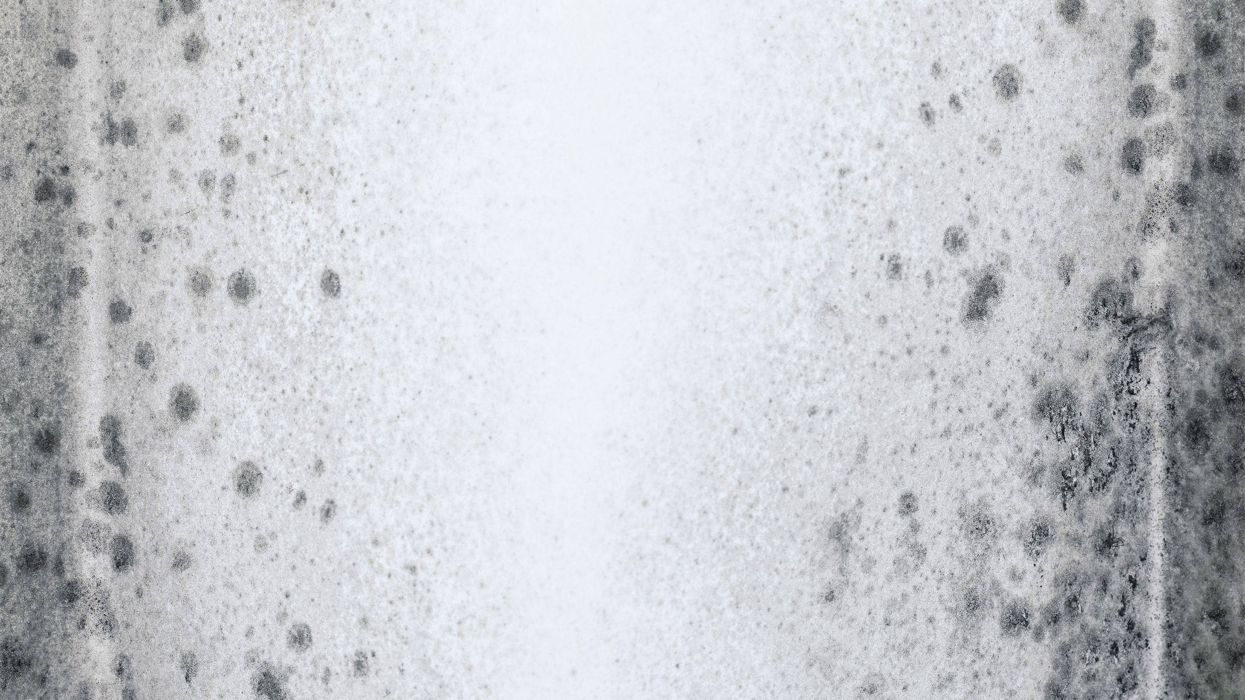 Mould on a white wall