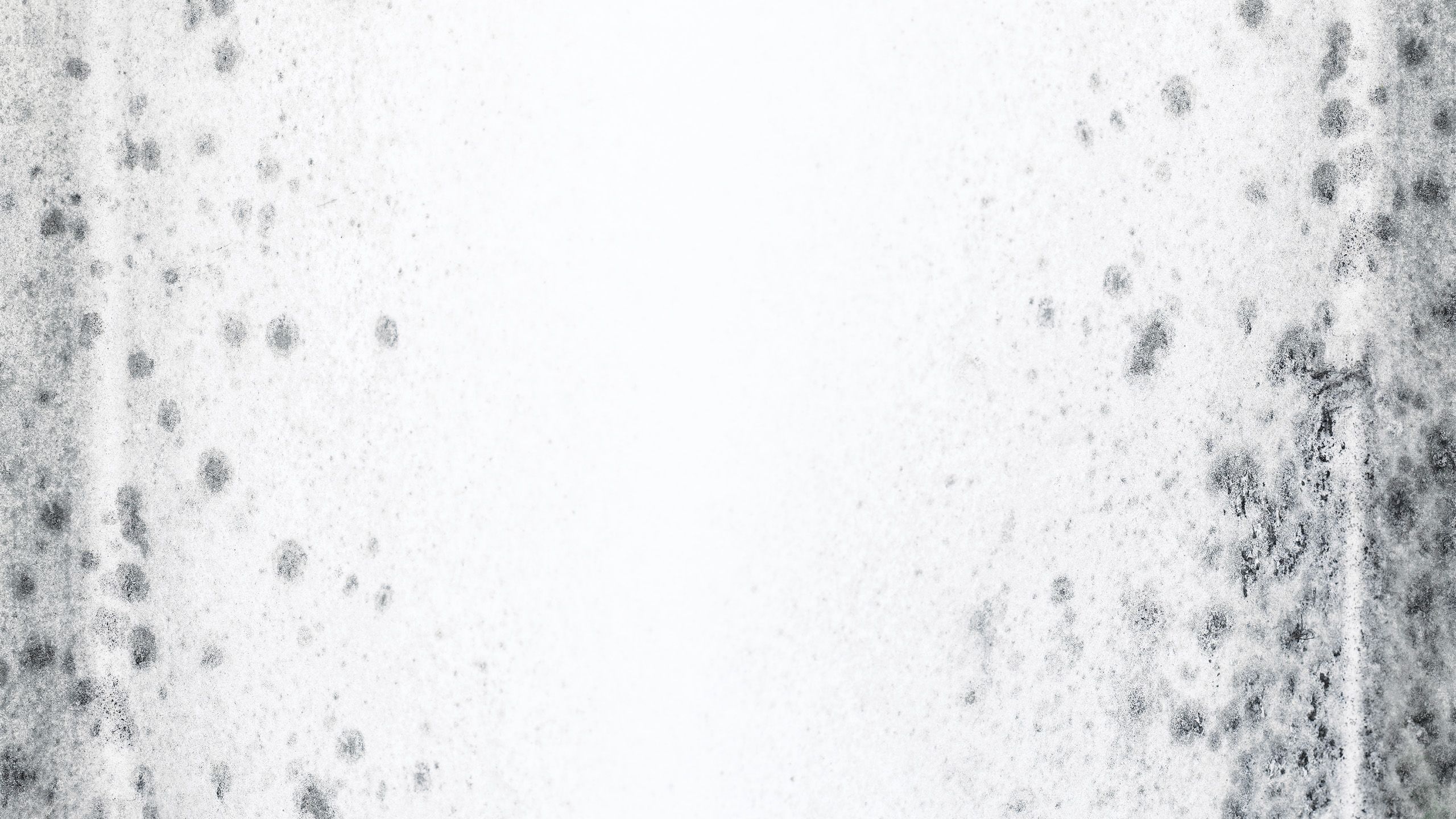 Mould on a white wall