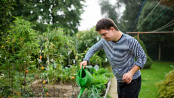 A young man waters a garden bed in the sunshine