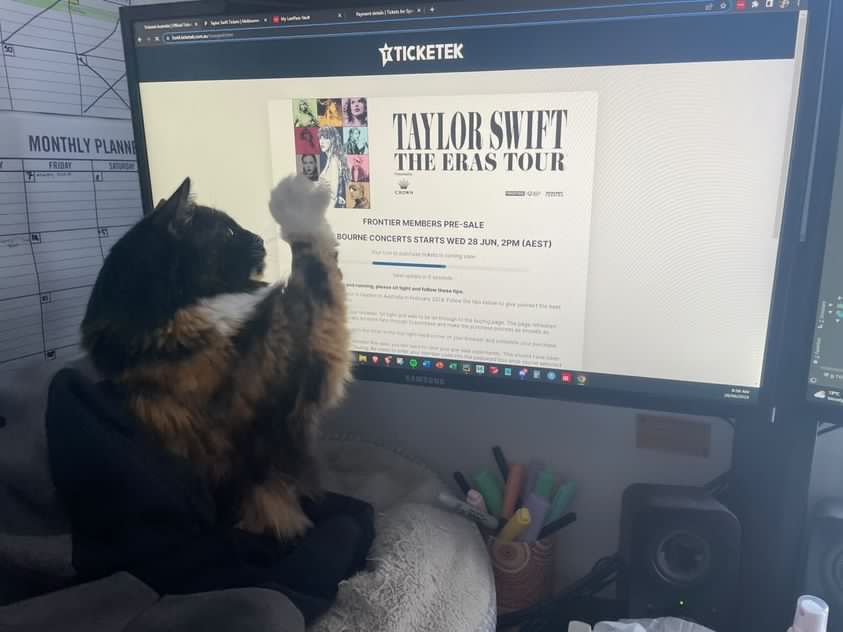 A picture of Taylor Swift's Ticketek loading screen with a cat reaching it's paw toward the monitor
