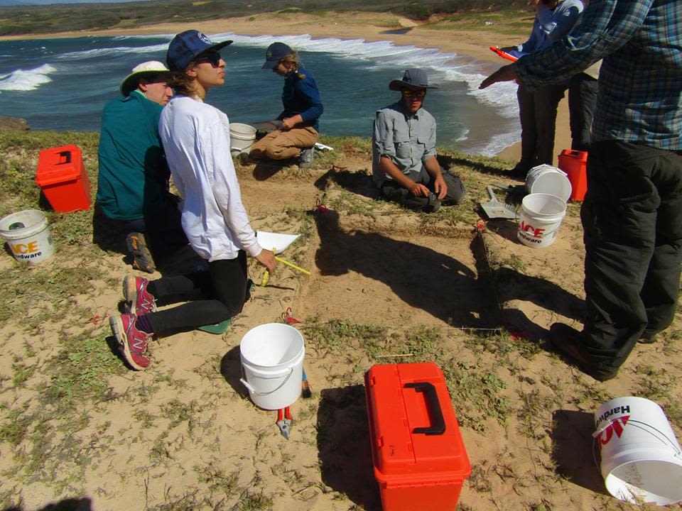Getting started! The students were very eager to get all the archaeological tips from Professor Marshall Weisler.
