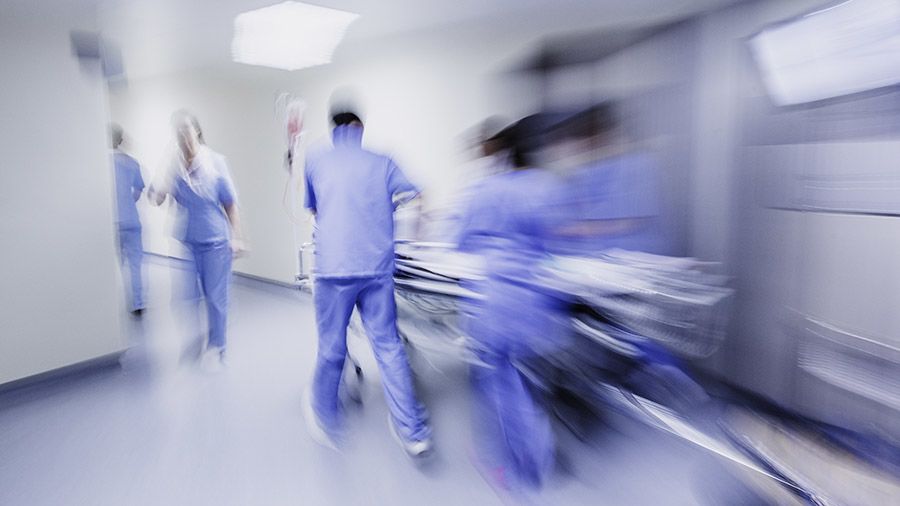 Australians lose $3.1 billion per year due to inflammatory bowel disease.