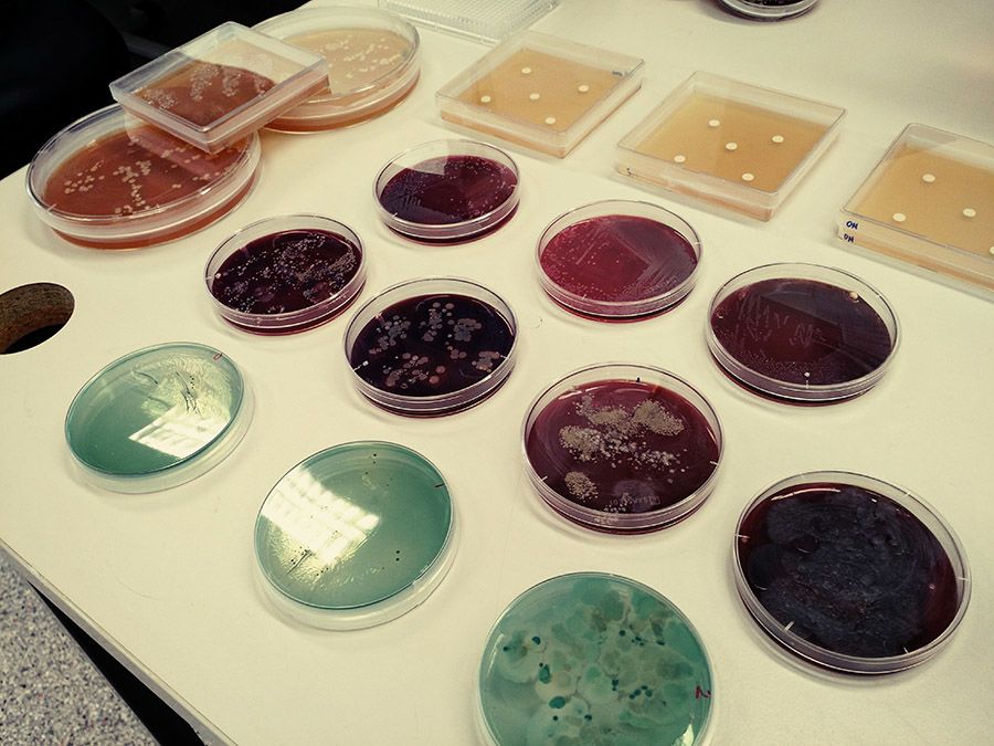 CO-ADD is screening compounds from around the world for antimicrobial activity.
