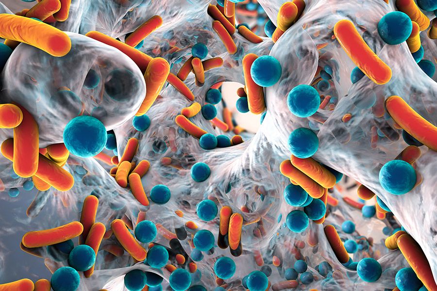 Antibiotic-resistant bacteria are spreading around the world.
