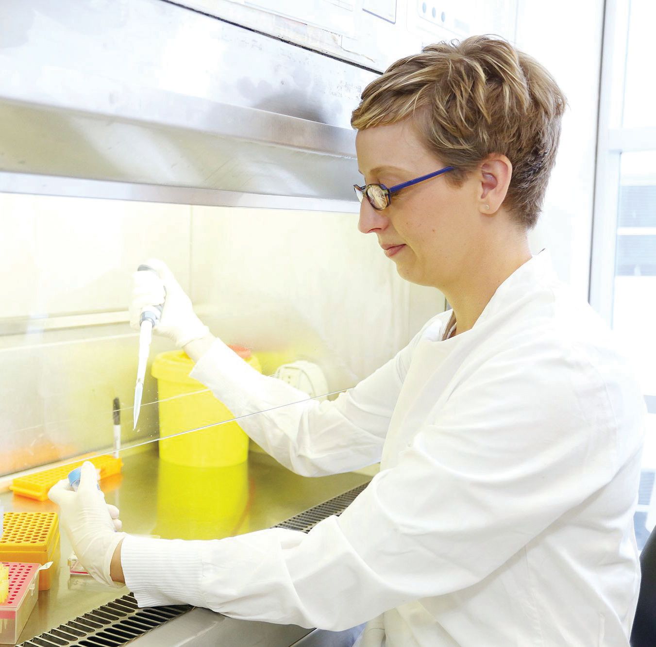 Professor Kate Schroder working in the lab