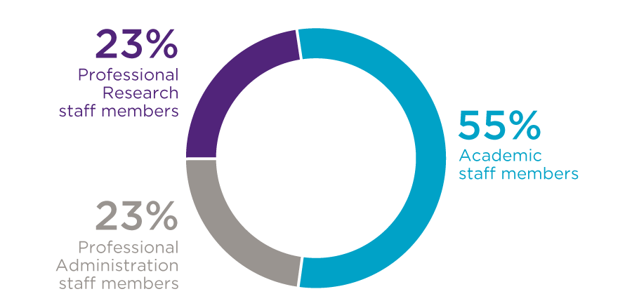 Graph of staff member demographics: 23% academic, 23% professional administration, 55% professional research
