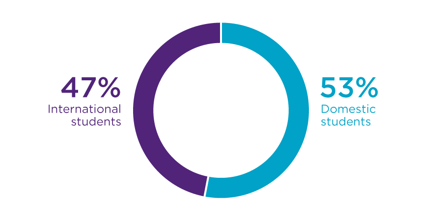 Graph showing breakdown of 47% international and 53% domestic students