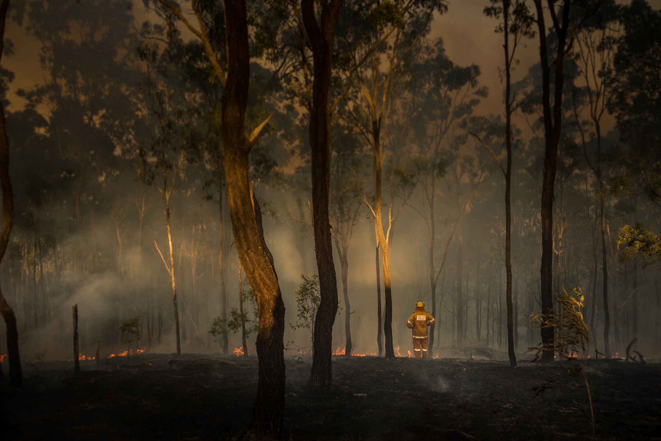 Bush fires