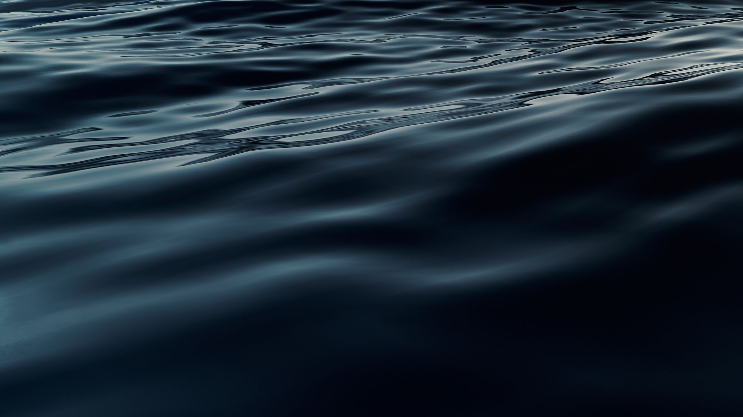 Water. Image: Adobe Stock/GraphicCompressor