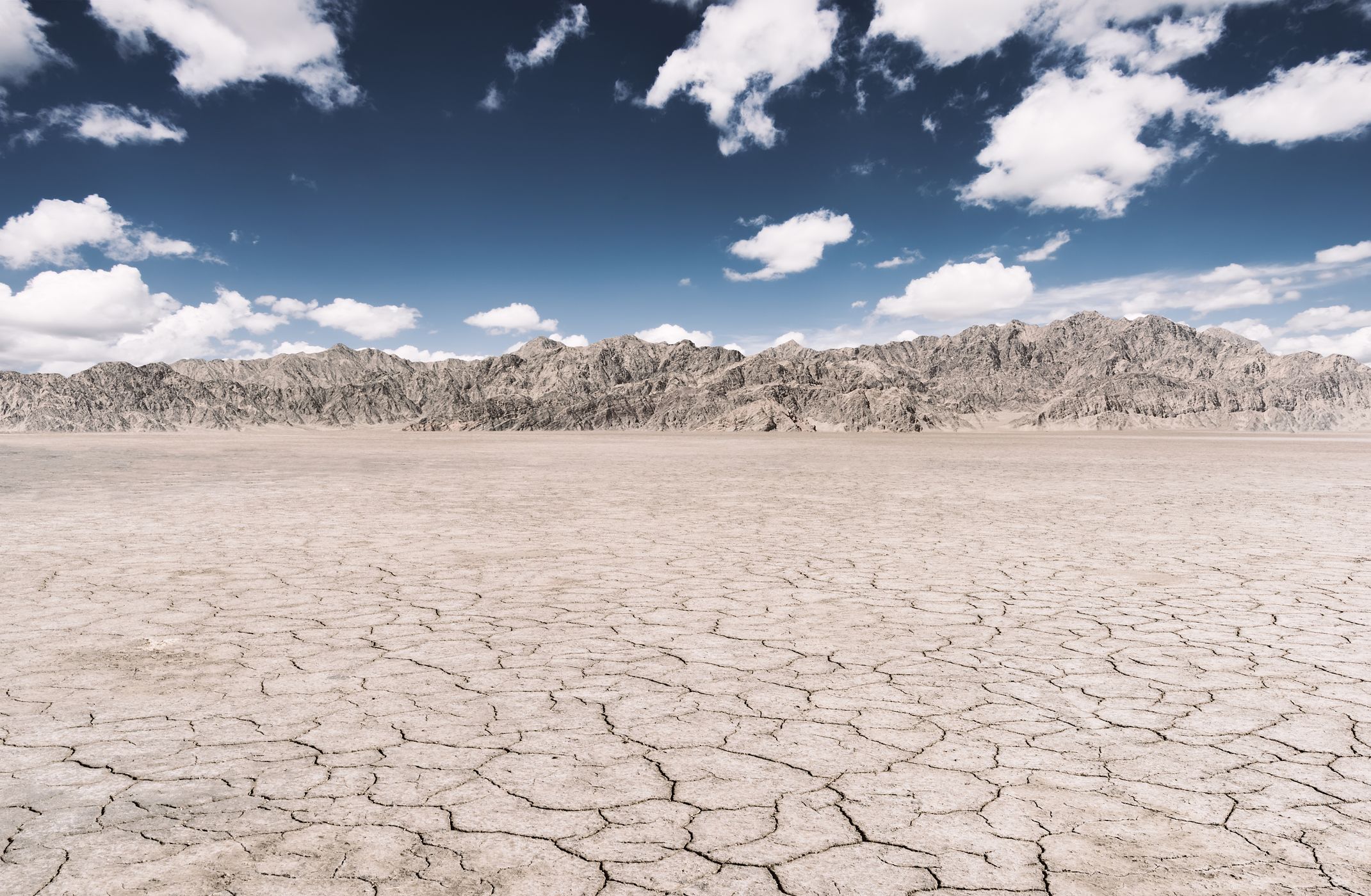 Dry cracked dirt during drought