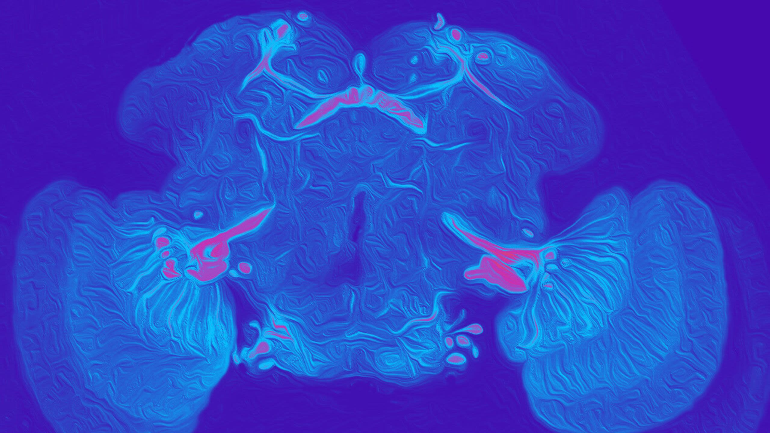 A close-up of cells from a fruit fly's brain