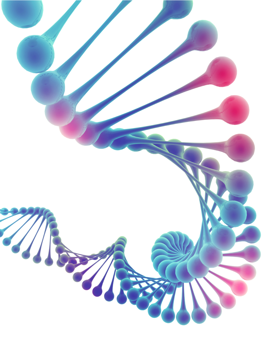 A curved blue, pink and purple DNA helix on a white background