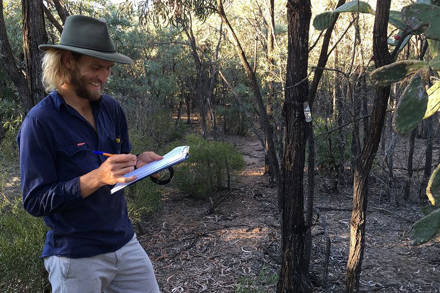 UQ's Dr Sean Maxwell doing a survey in the bush.