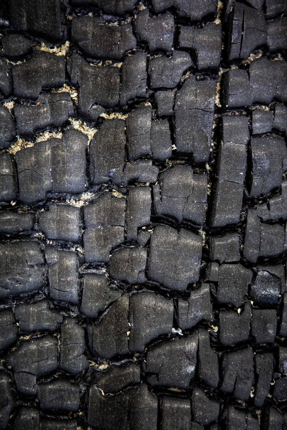 Image of burnt wood.