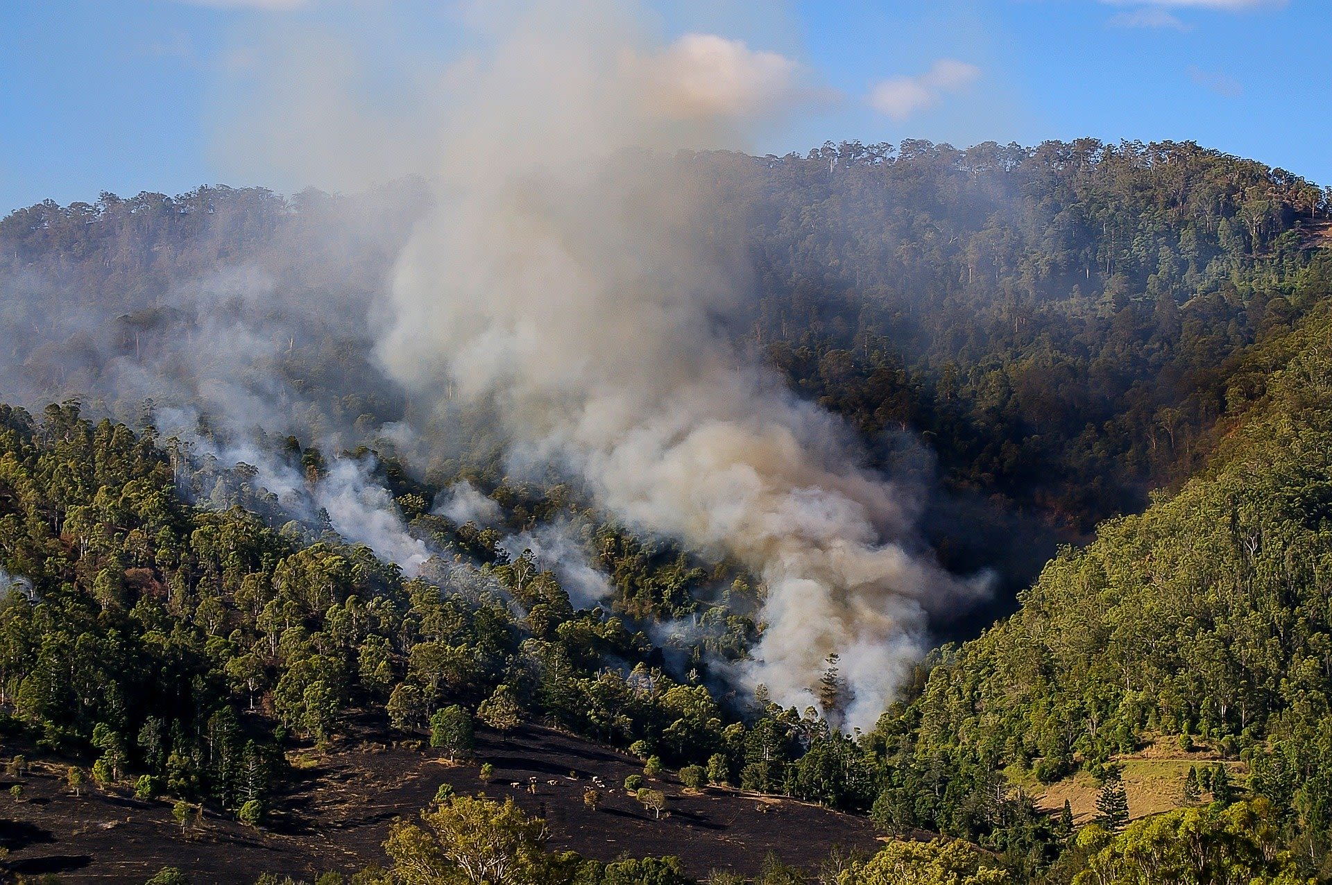 Image of bushfires