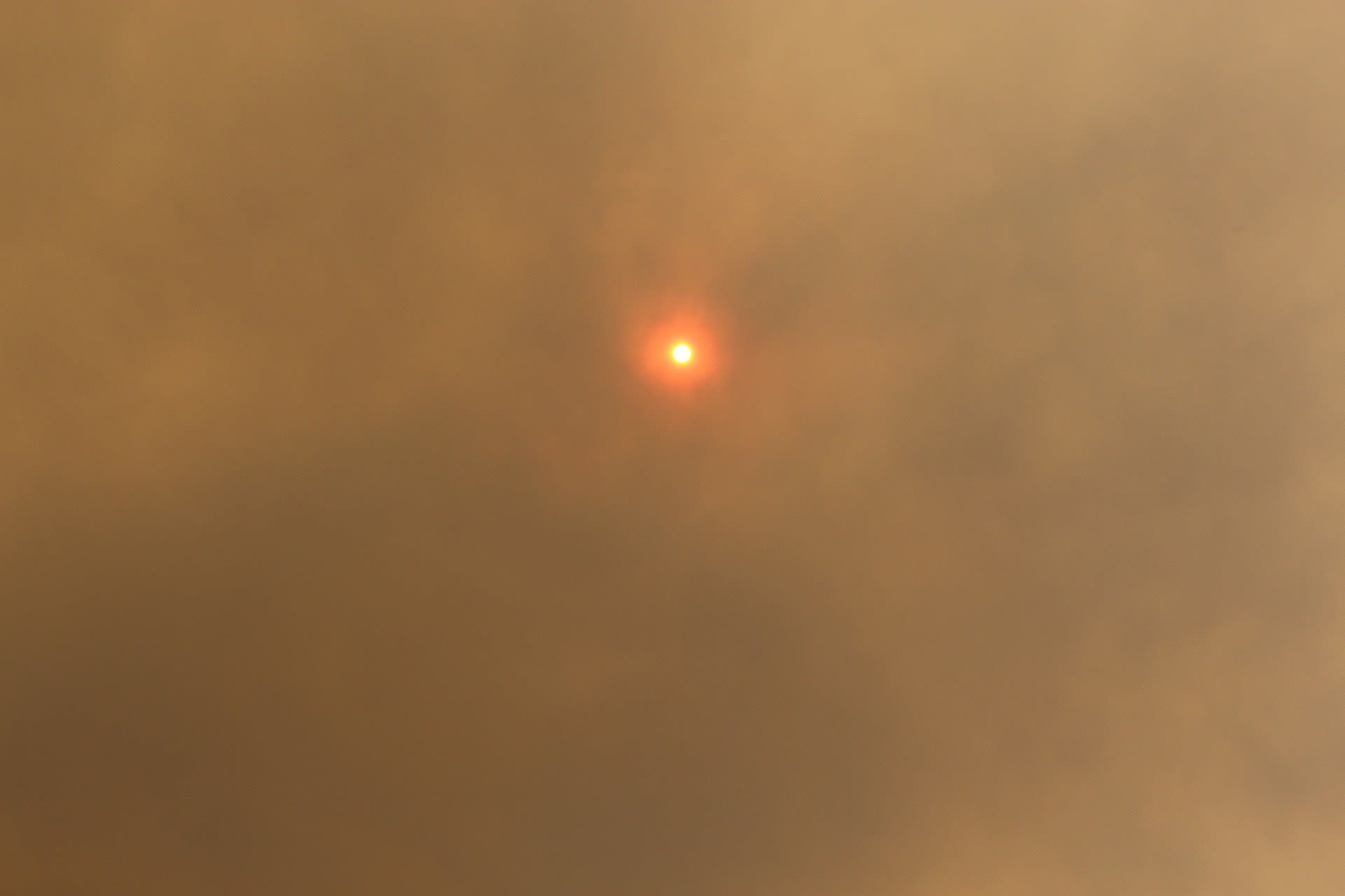 Image of sun obscured by bushfire smoke