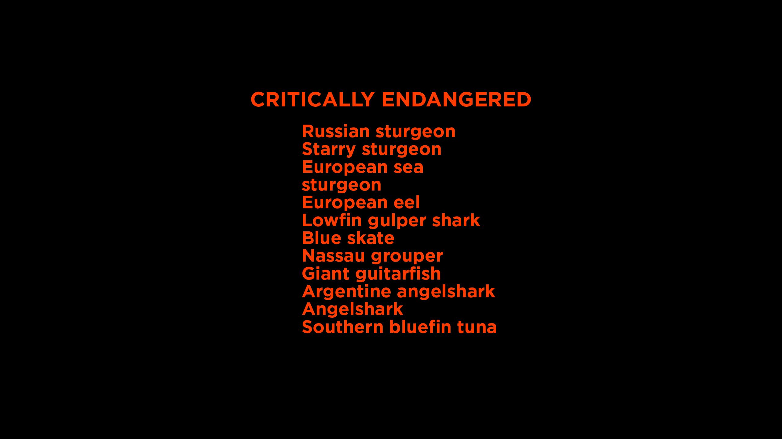 critically endangered fish species