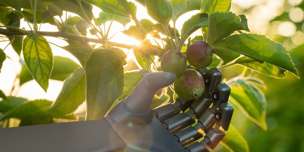 A robotic hand holds a fruit growing on a tree as if to pick it.