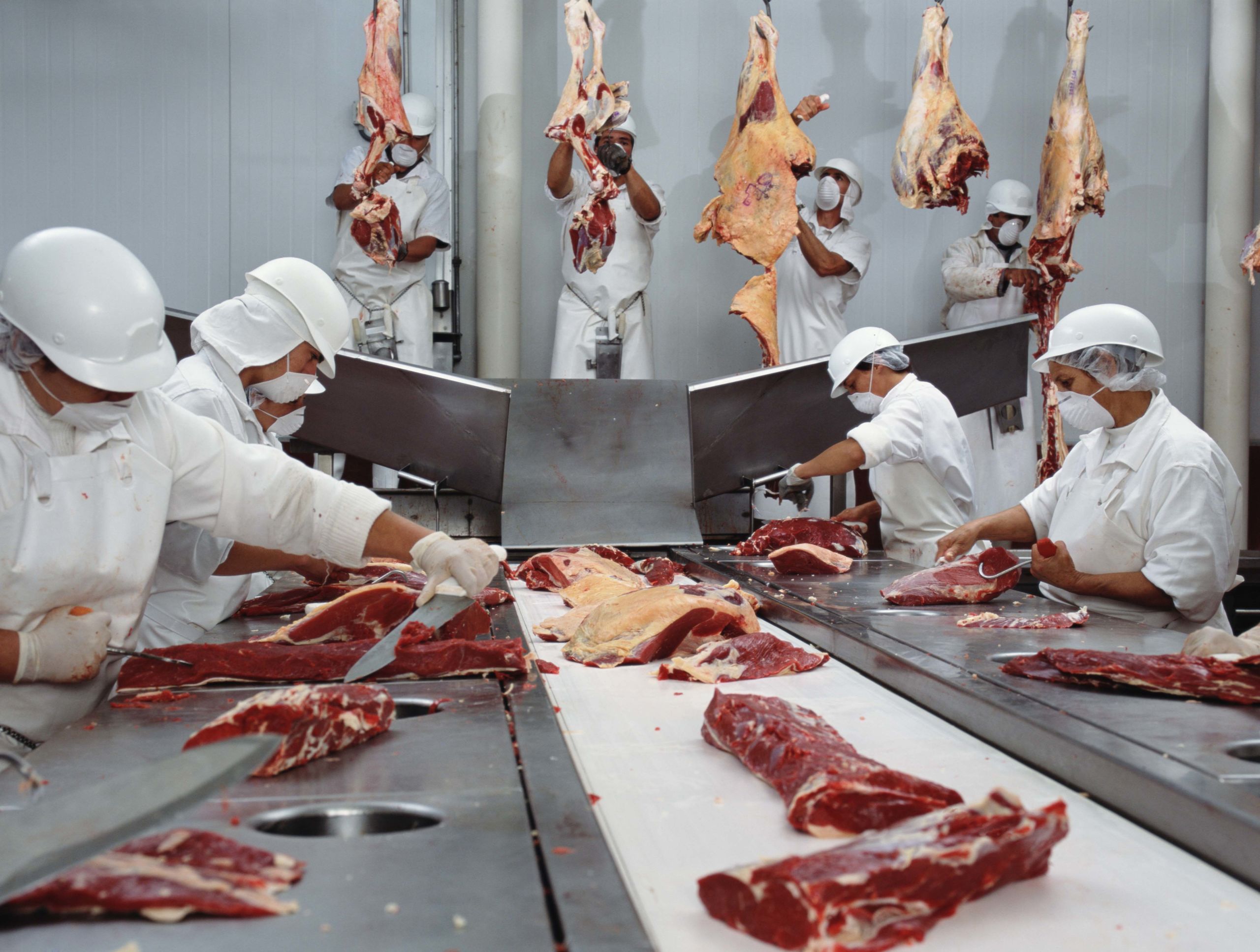 Abattoir workers wearing maks work on a production line in an enclosed space carving cuts of meat.