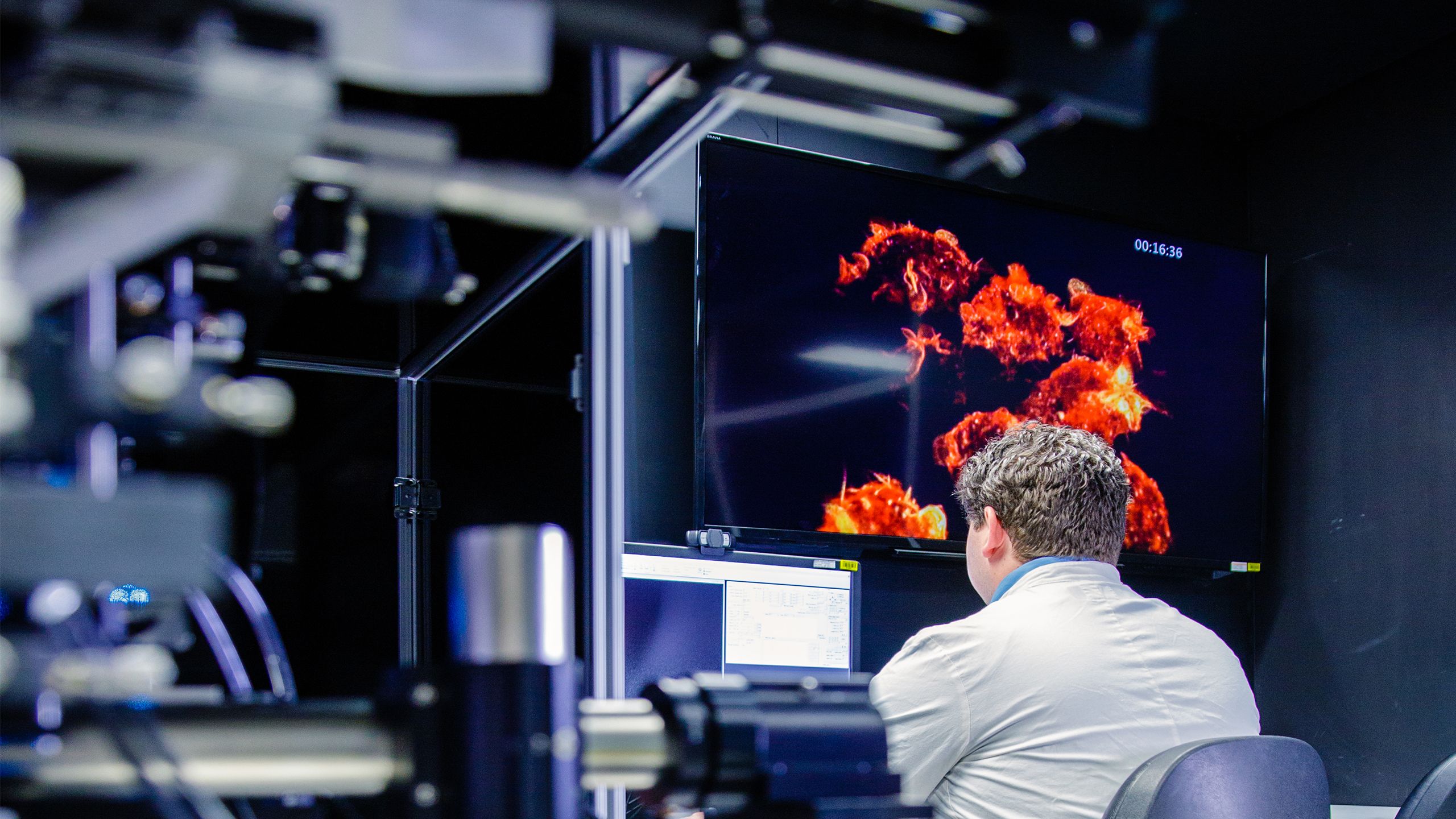 Nicholas Condon working in the ACRF:Cancer Biology Imaging Facility