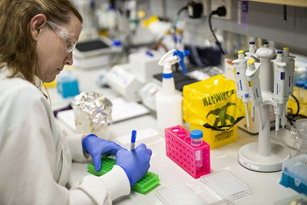 UQ researchers working on a vaccine candidate for the coronavirus.