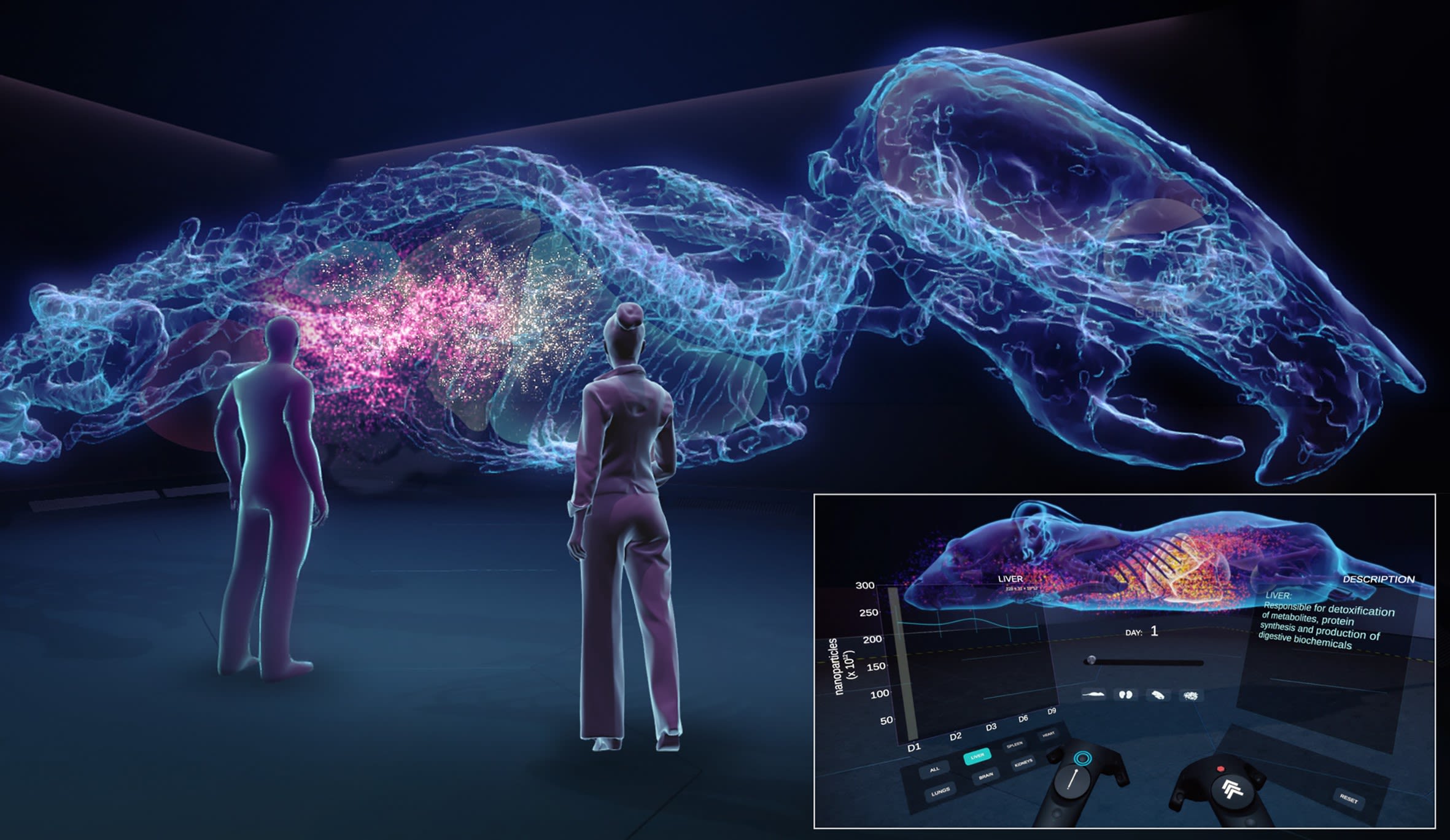 Virtual Reality graphic display showing internal view of a dinosaur and a rat