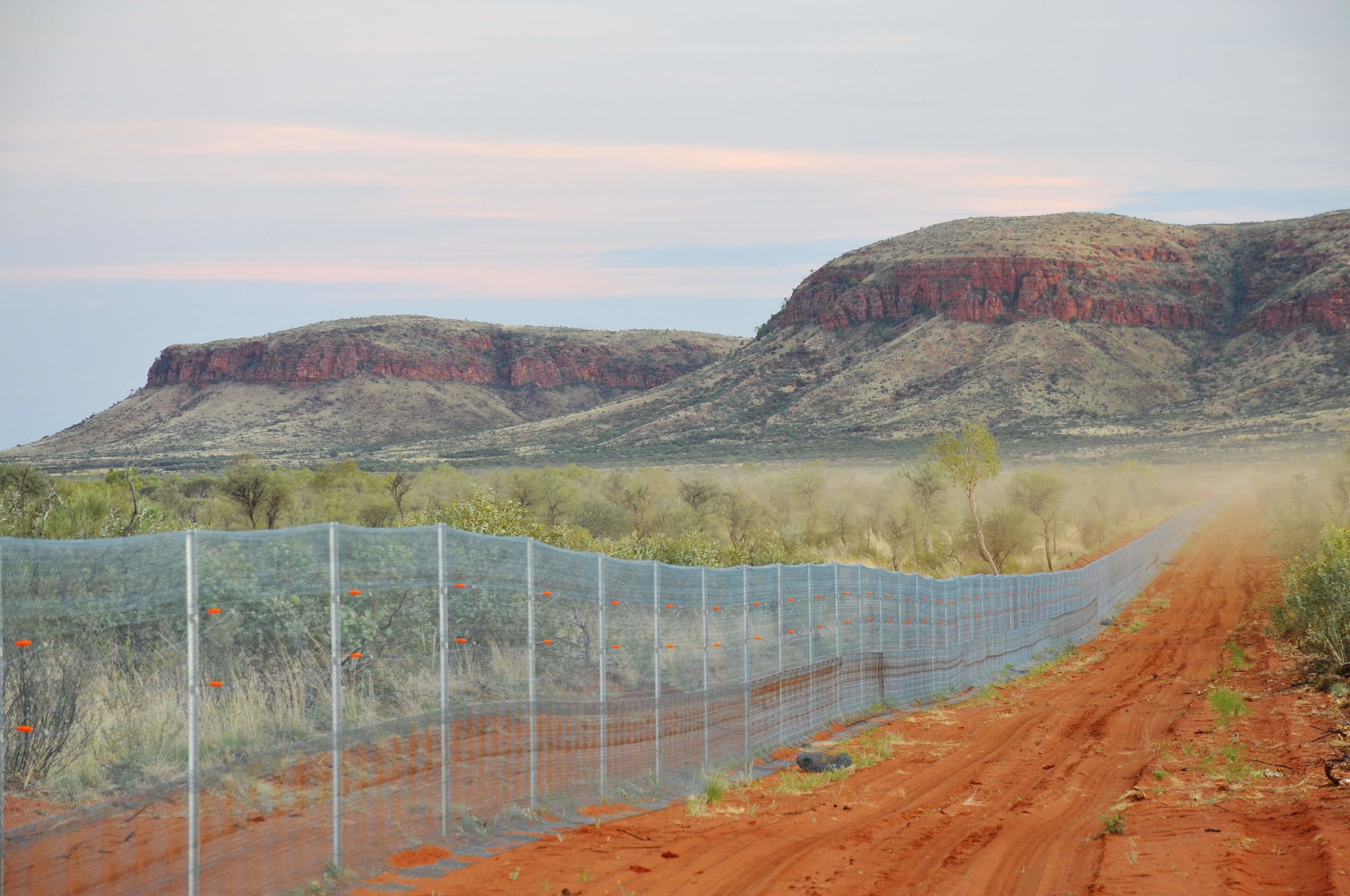 Cat proof fence along orange-coloured track with red rocks in the background
