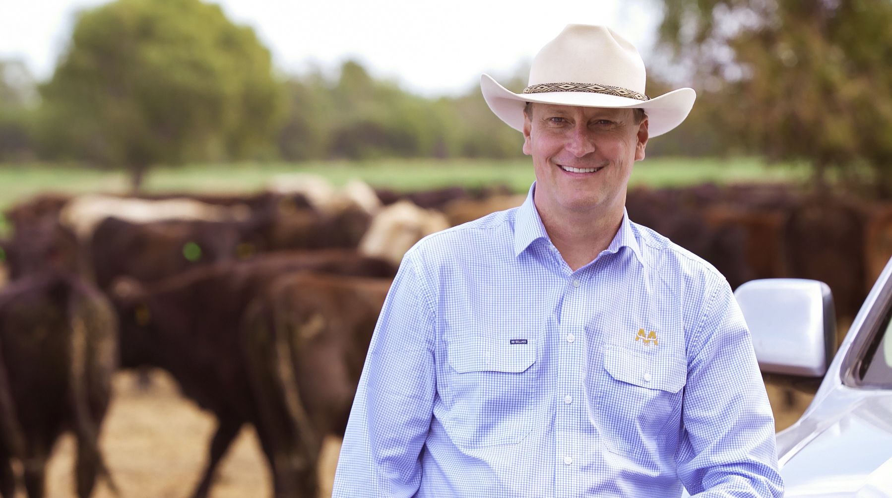 AACo CEO Mr Hugh Killen standing in front of cows