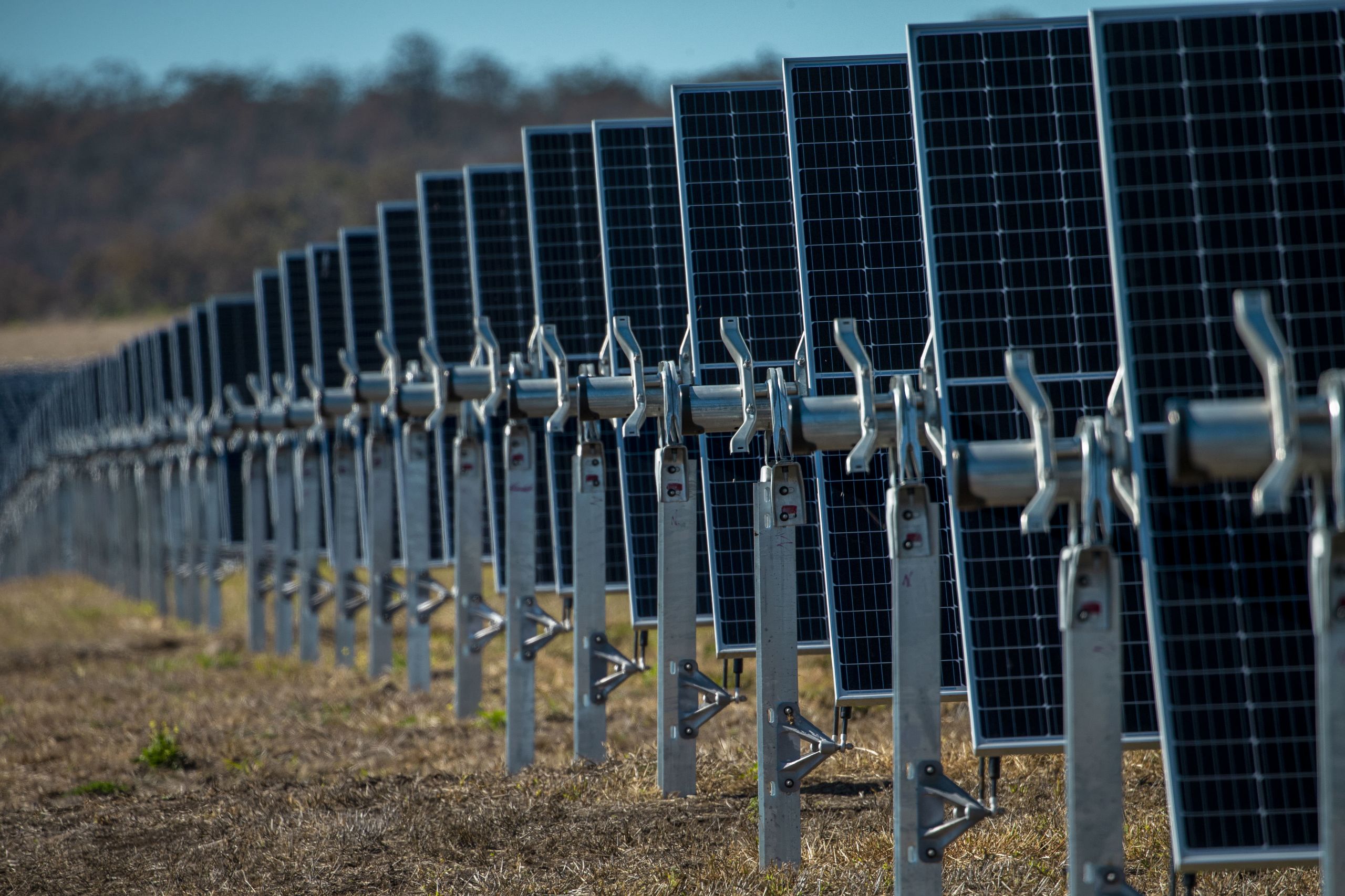 Solar panels lined up at UQ's Warwick Solar Farm