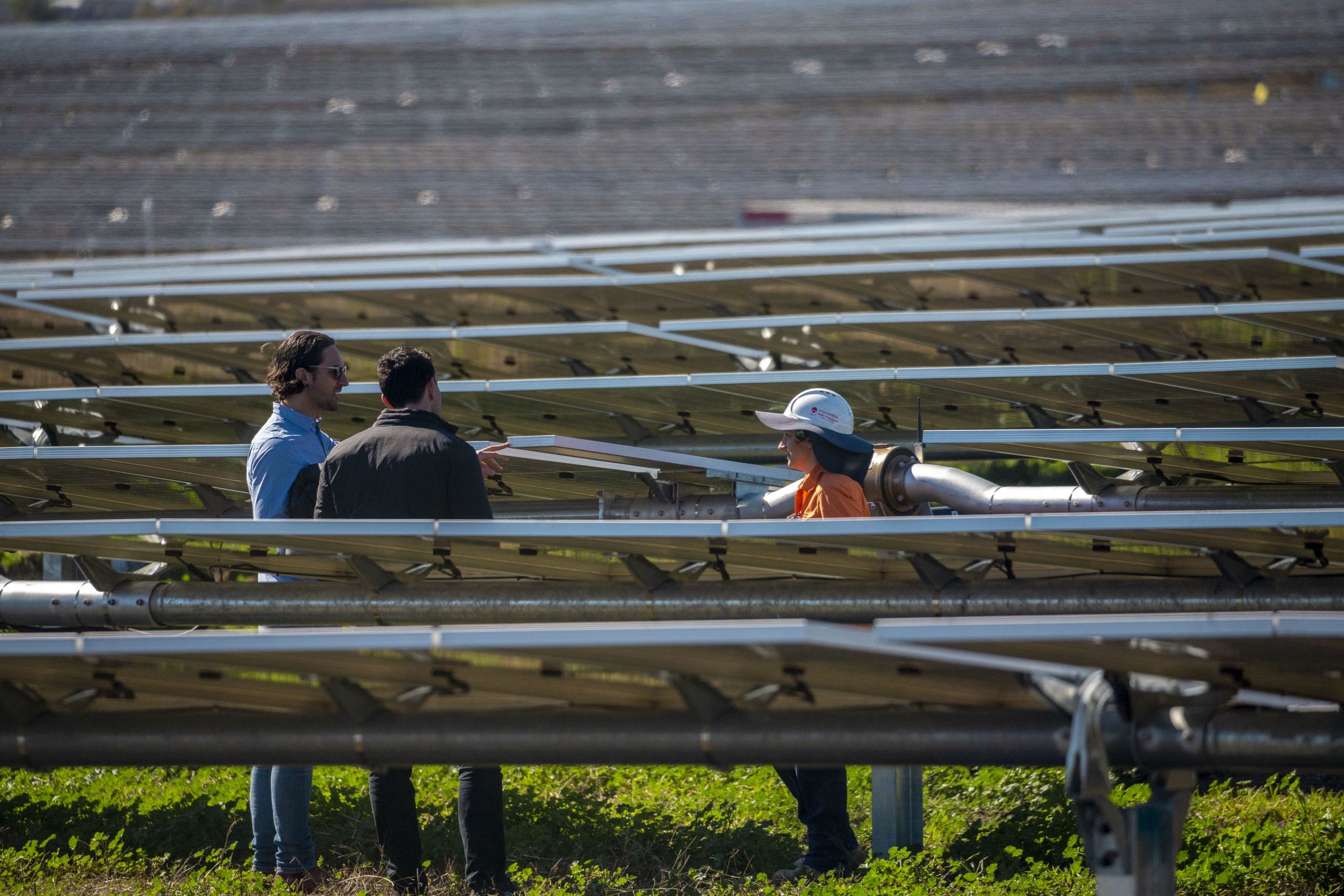 two men chatting with UQ Warwick Solar Farm operator in between solar panel grid.