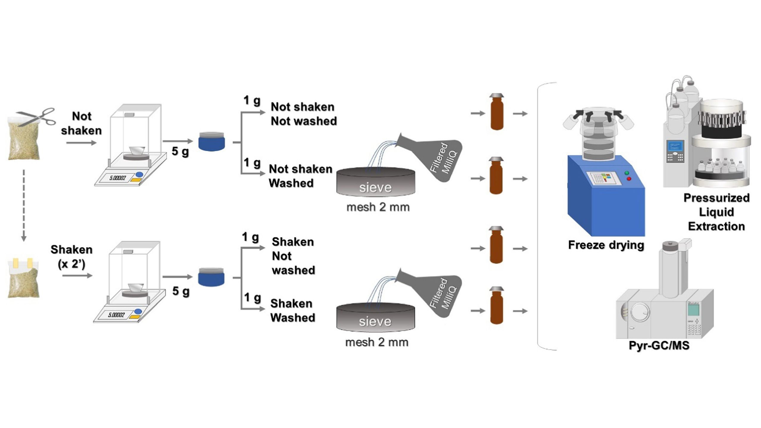 Diagram showing how the researcher's treated the rice samples to test for microplastics.