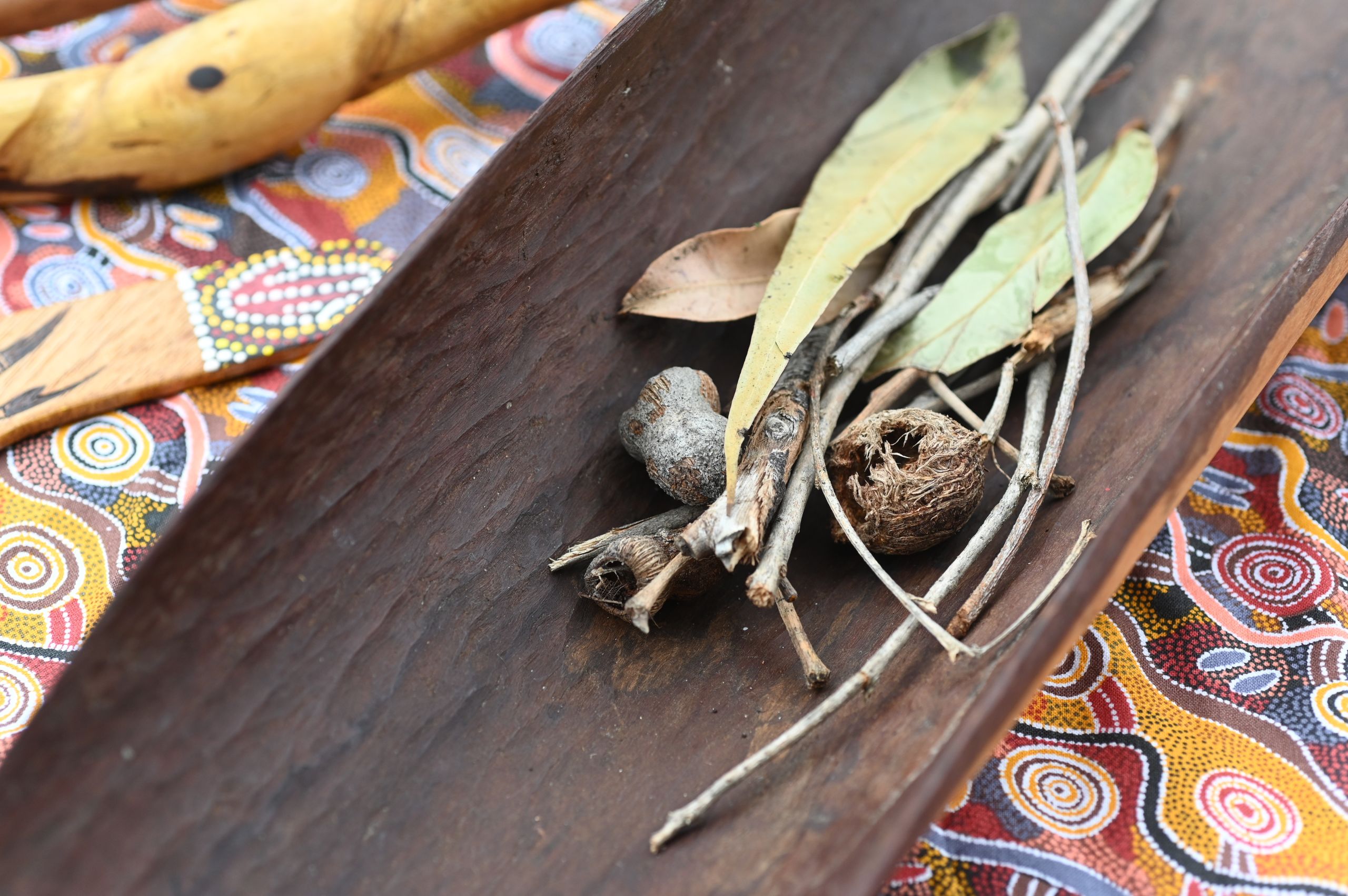 Eucalytpus leaves, twigs and nuts on a container made of bark, all on a tablecloth of Indigenous print