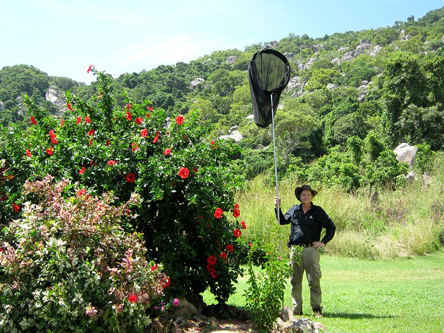 Man holding a large butterfly net.