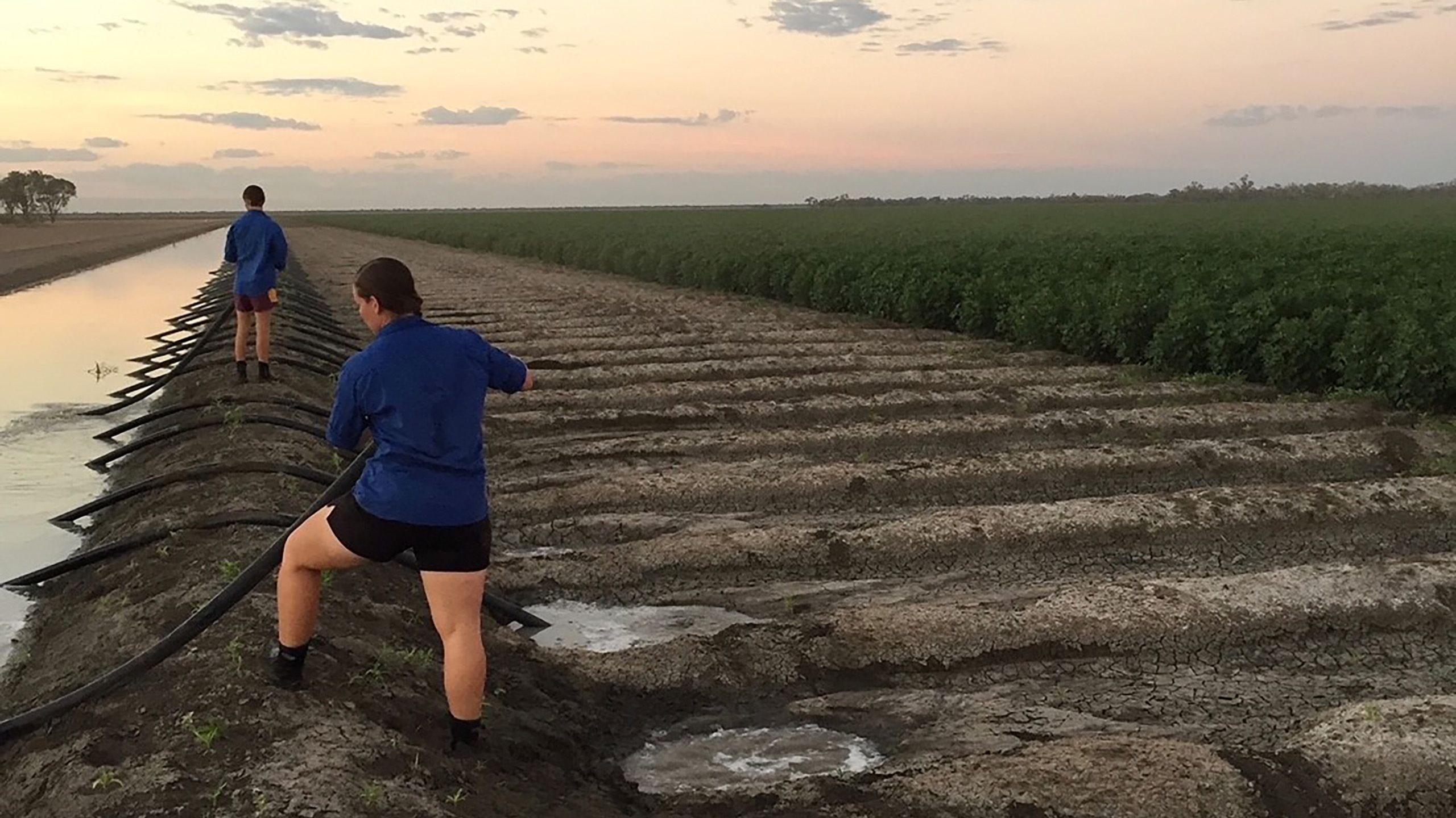 A person in black shorts and a dark blue shirt stands in a bare furrowed field holding a black hose